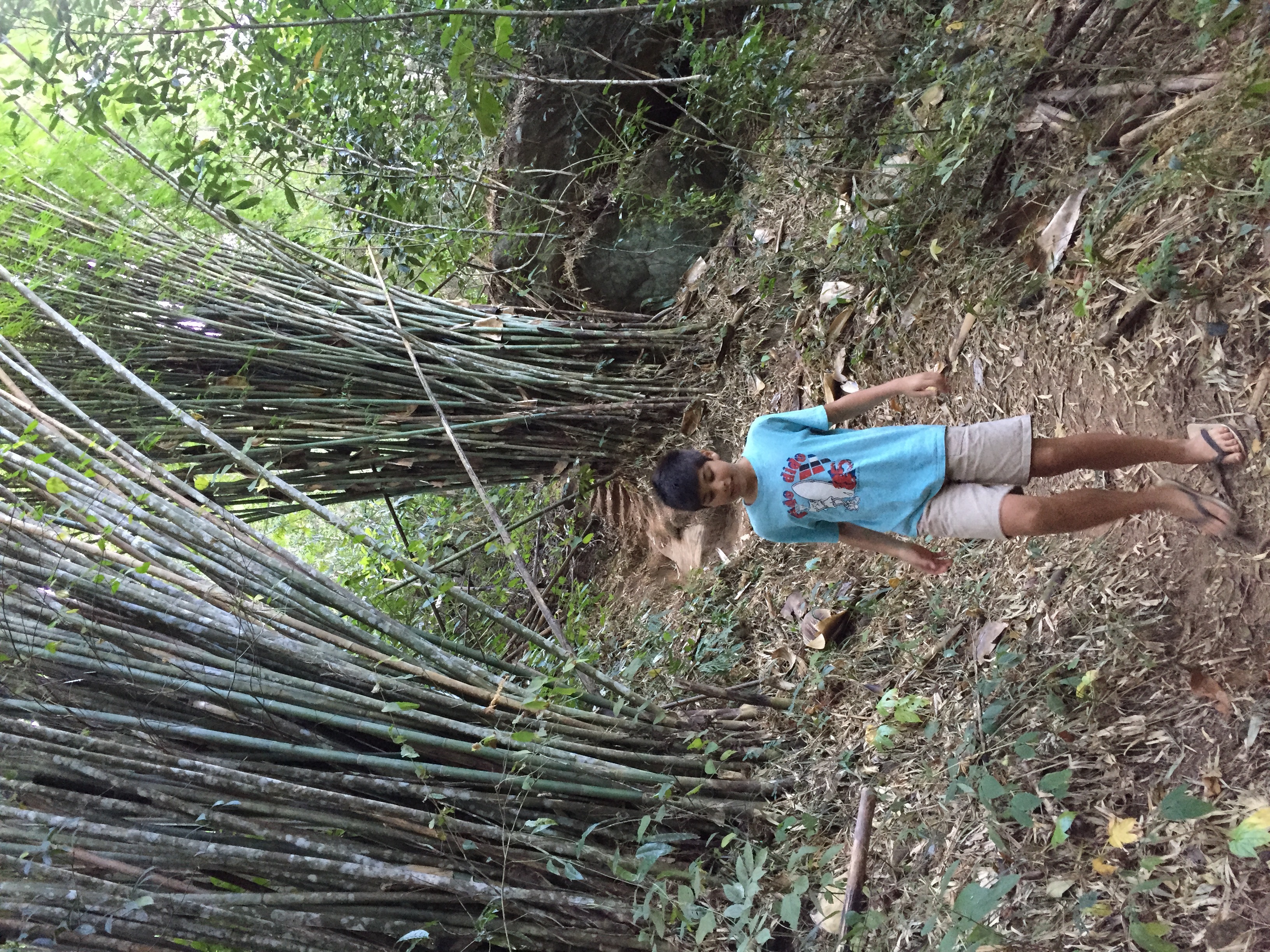 Photo Thaïlande Parc National Phu Hin Rong Kla 2014-12 79