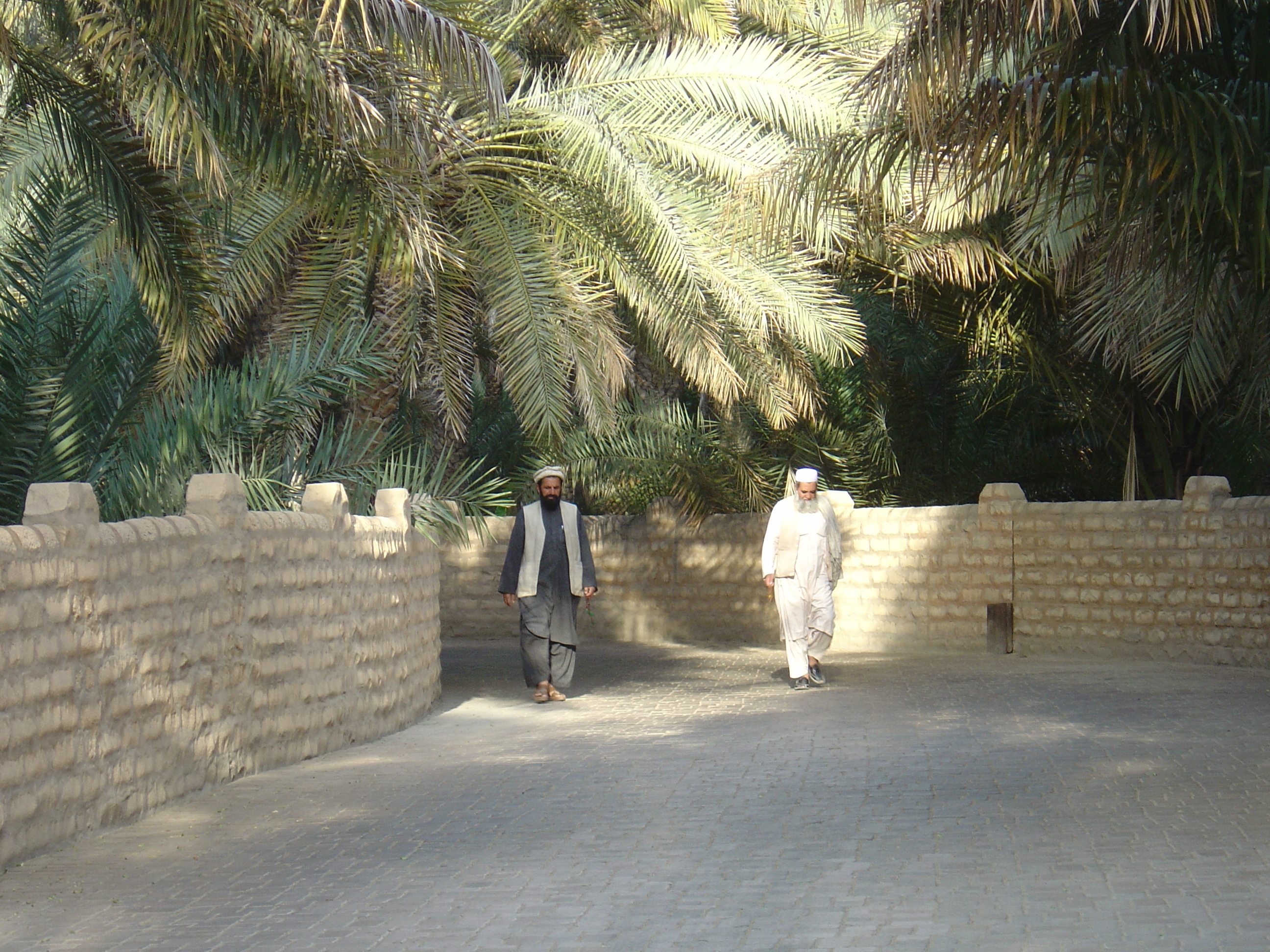 Photo Émirats arabes unis Al Ain Oasis 2005-03 6
