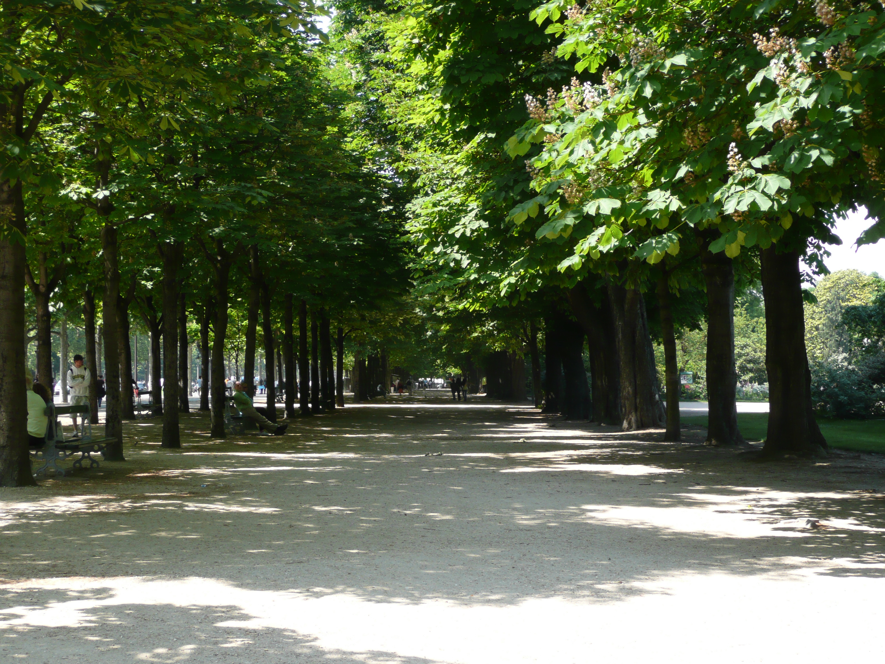 Photo France Paris Avenue des Champs Elysees 2007-05 3
