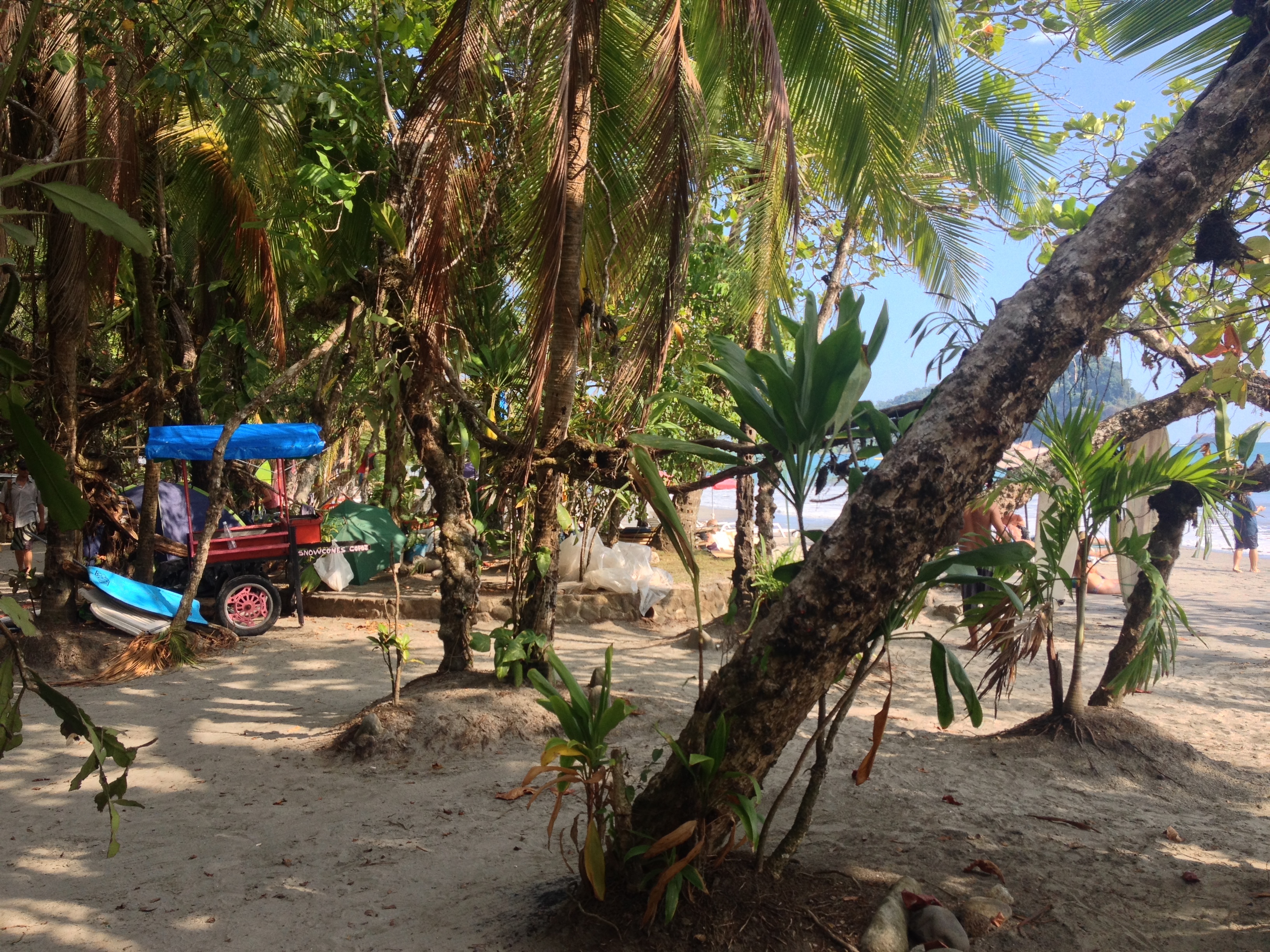 Photo Costa Rica Parc Manuel Antonio 2015-03 359