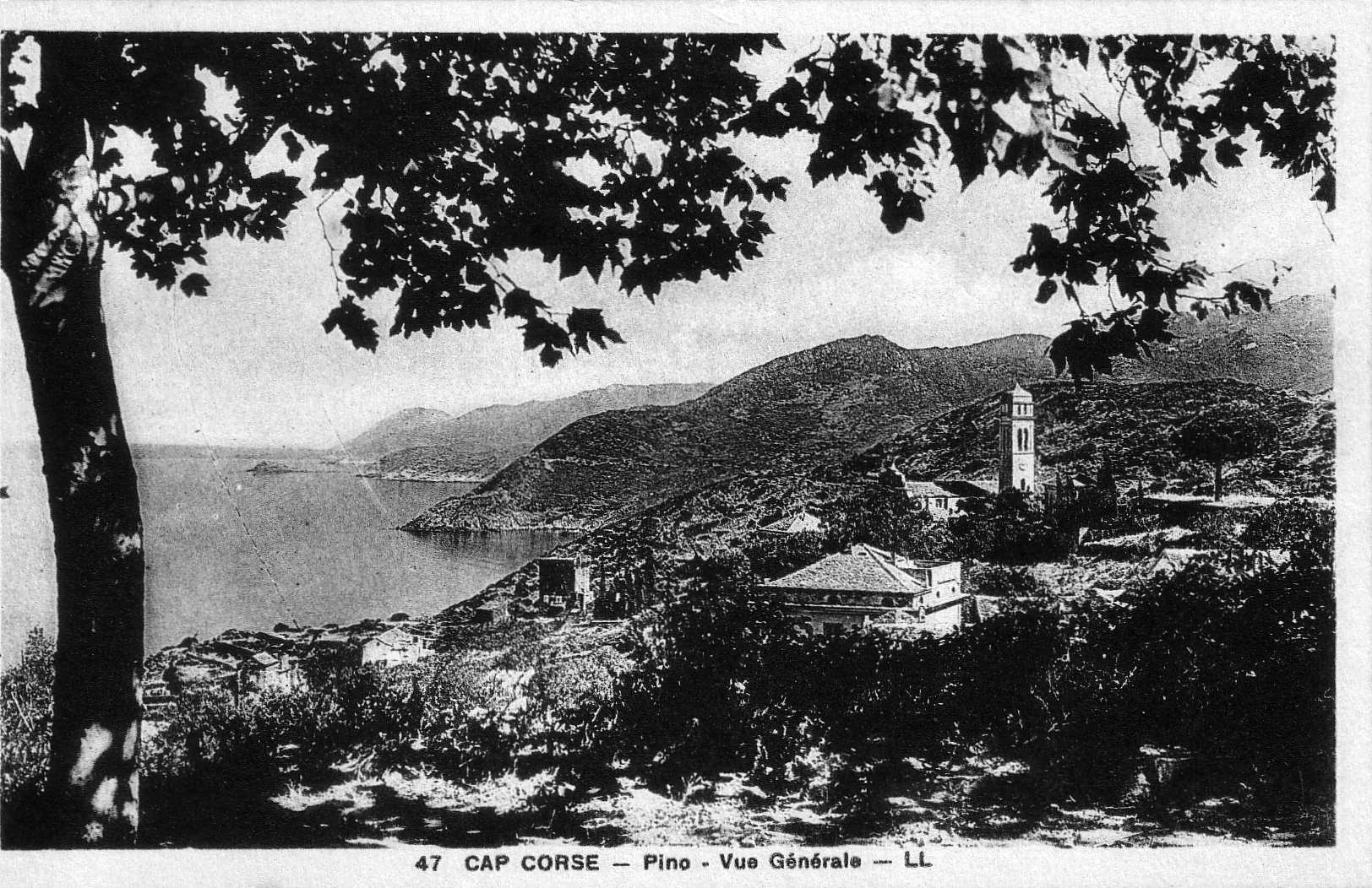 Photo France Corse Cartes postales anciennes 1900-01 169