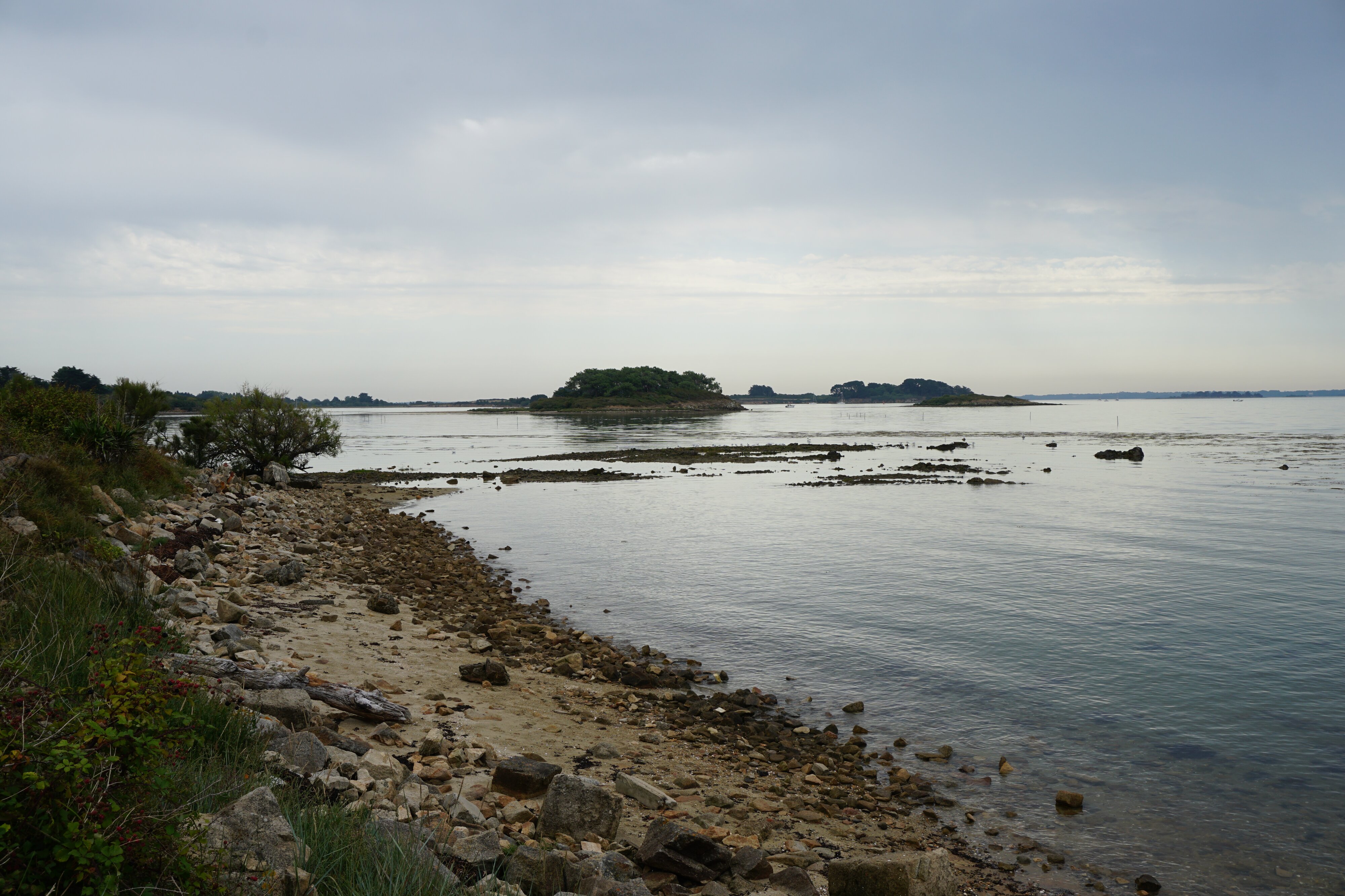 Photo France Île-aux-Moines 2016-08 36
