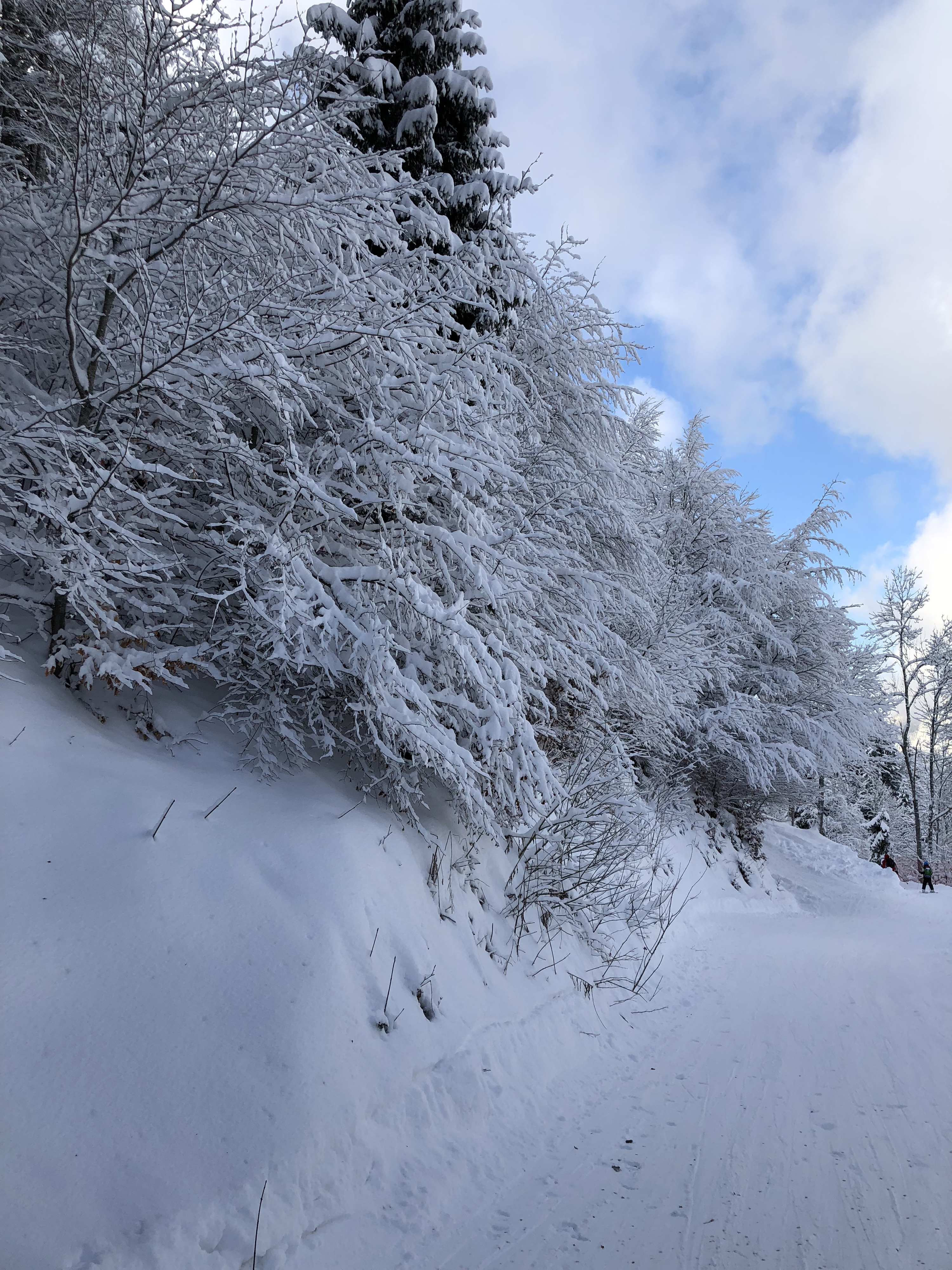 Photo France La Clusaz 2017-12 316