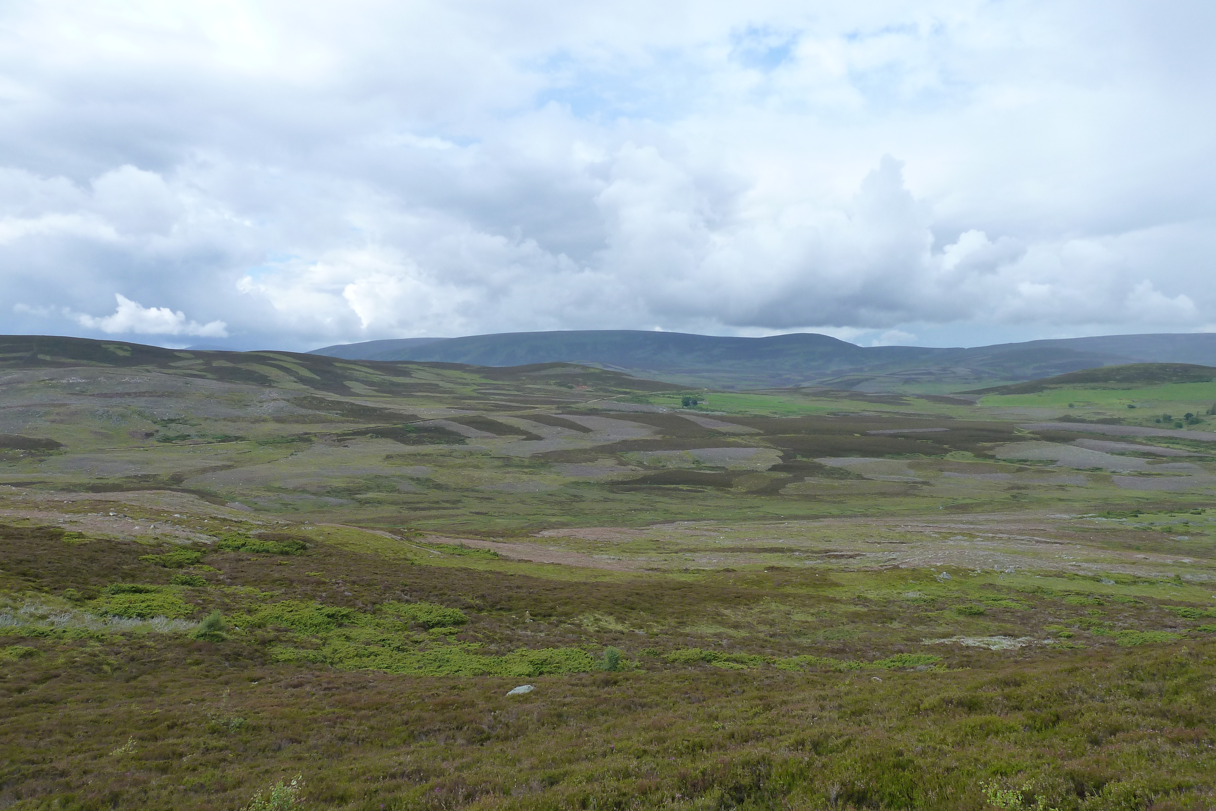 Photo Royaume-Uni Les Cairngorms 2011-07 126