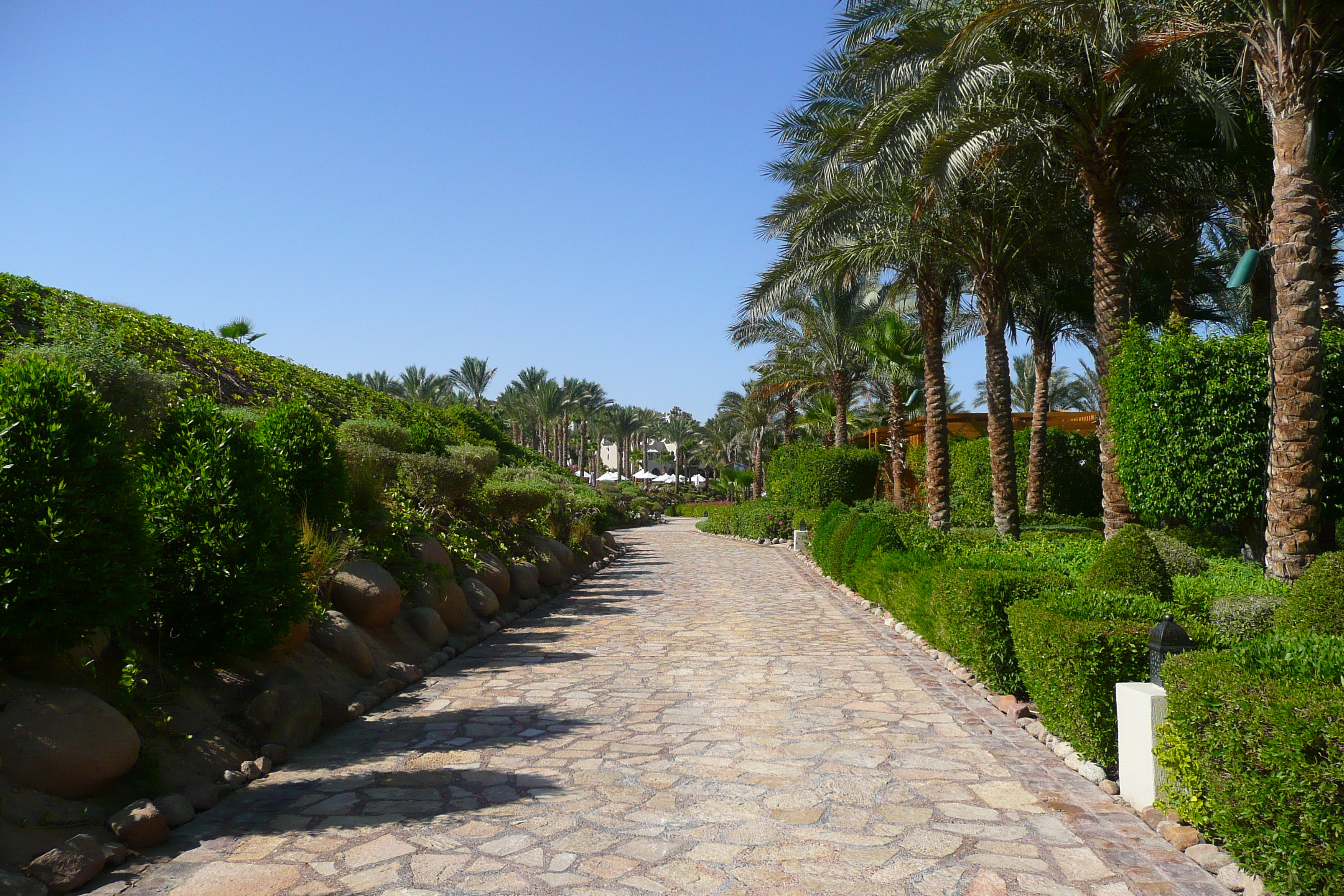 Photo Égypte Sharm el Sheikh Hotel Four Seasons Plage du Four Seasons 2008-06 17