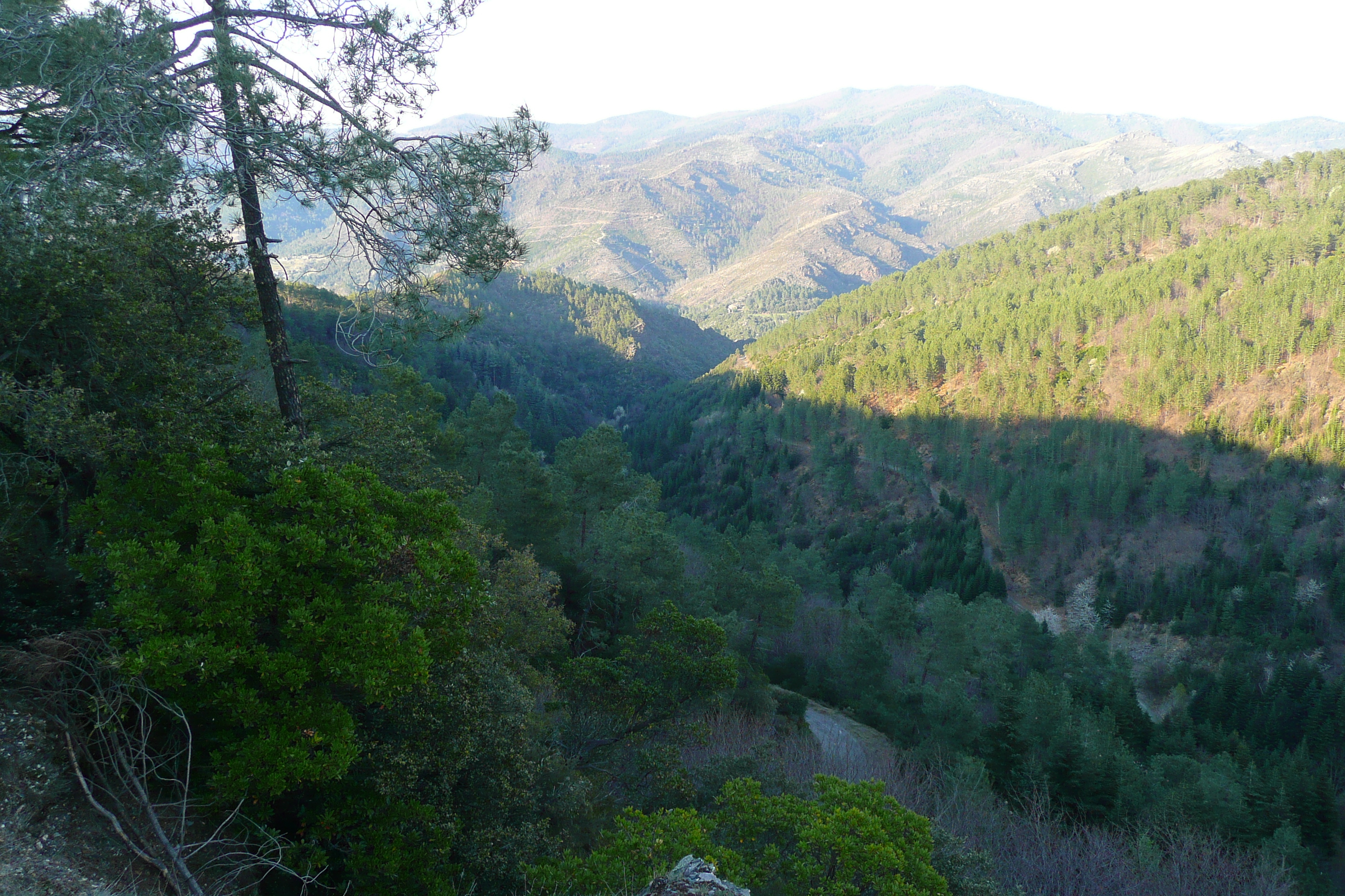 Photo France Les Cévennes 2008-04 15