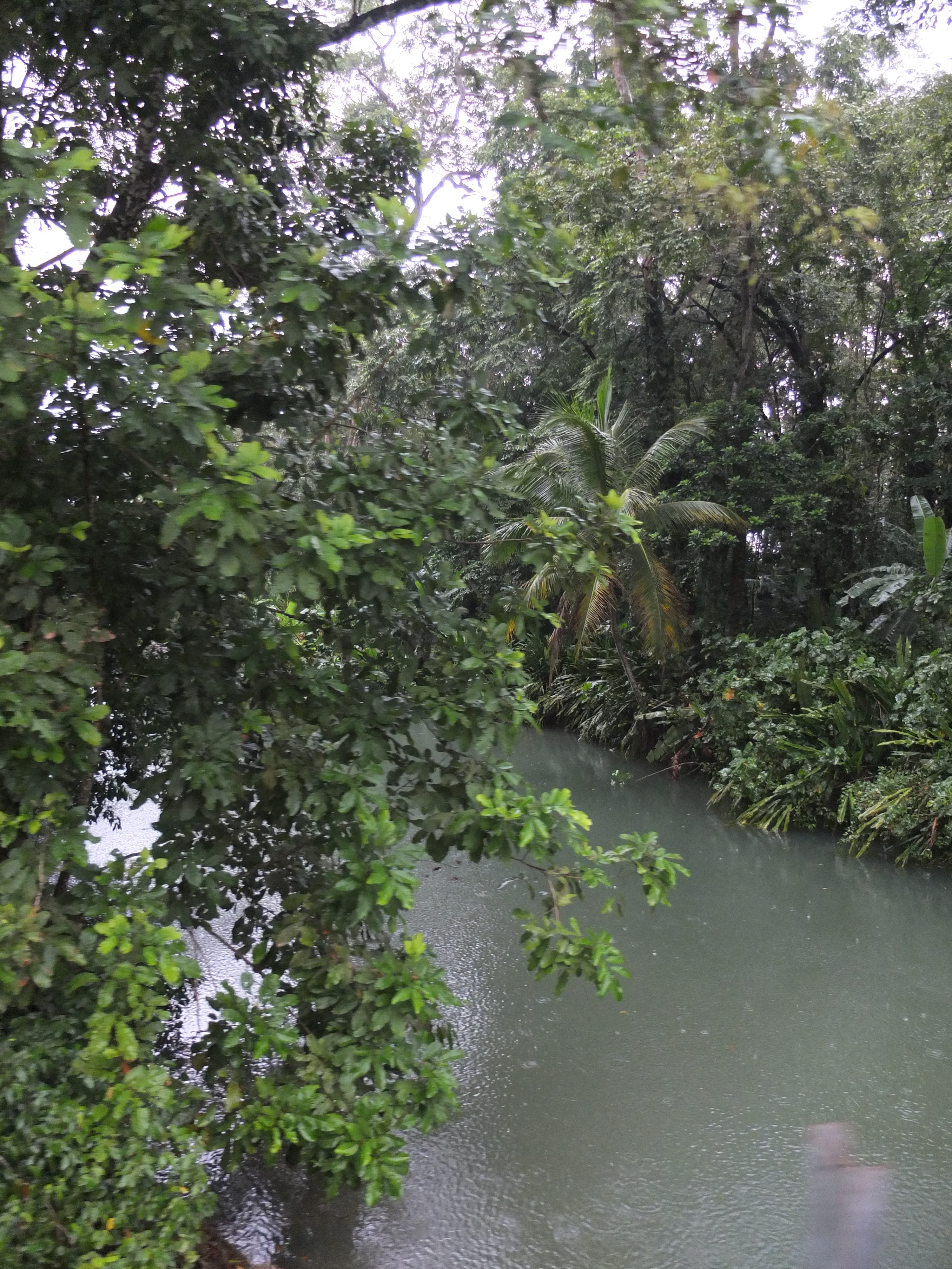 Photo Costa Rica Puerto Viejo de Talamanca 2015-03 122