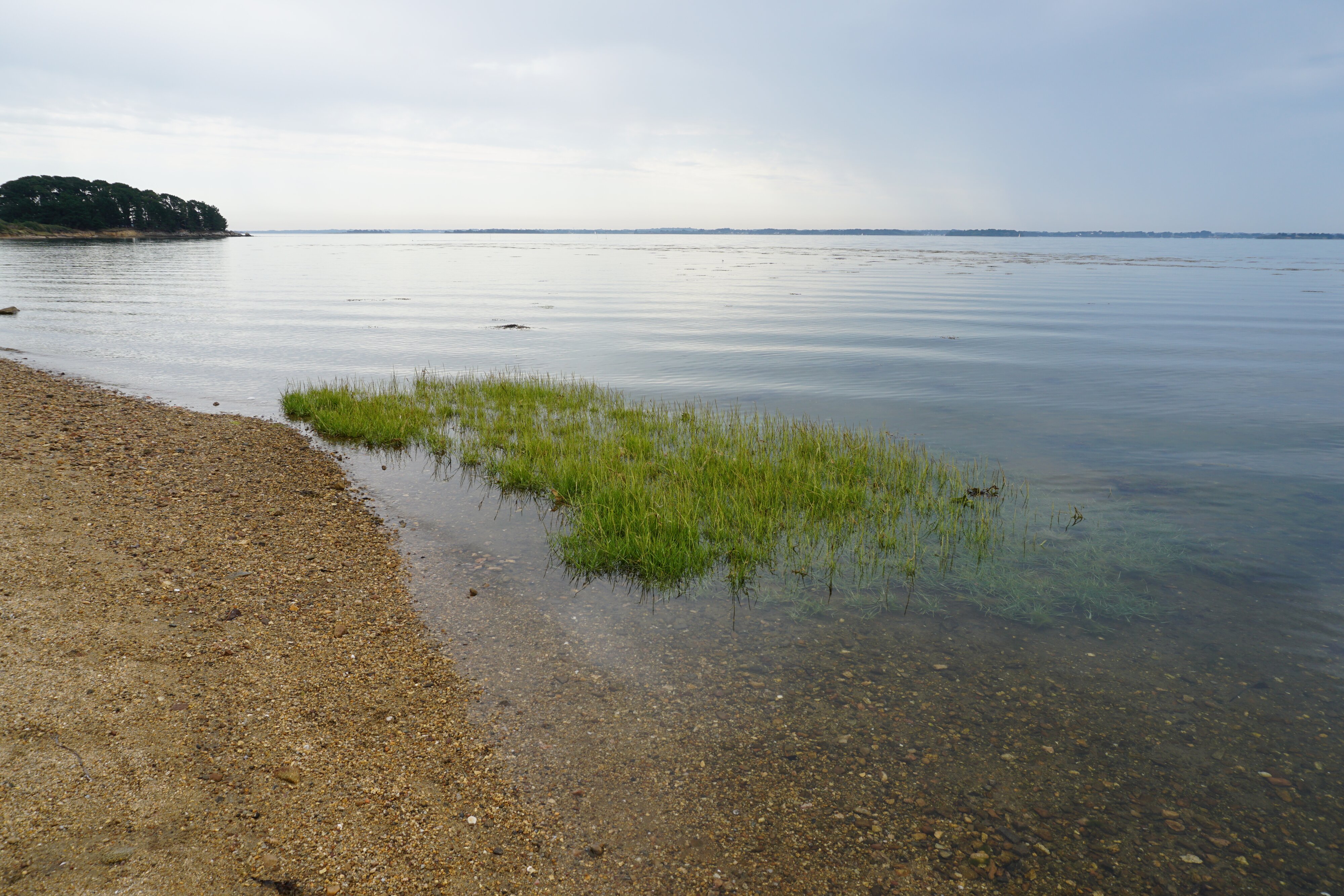 Photo France Île-aux-Moines 2016-08 32