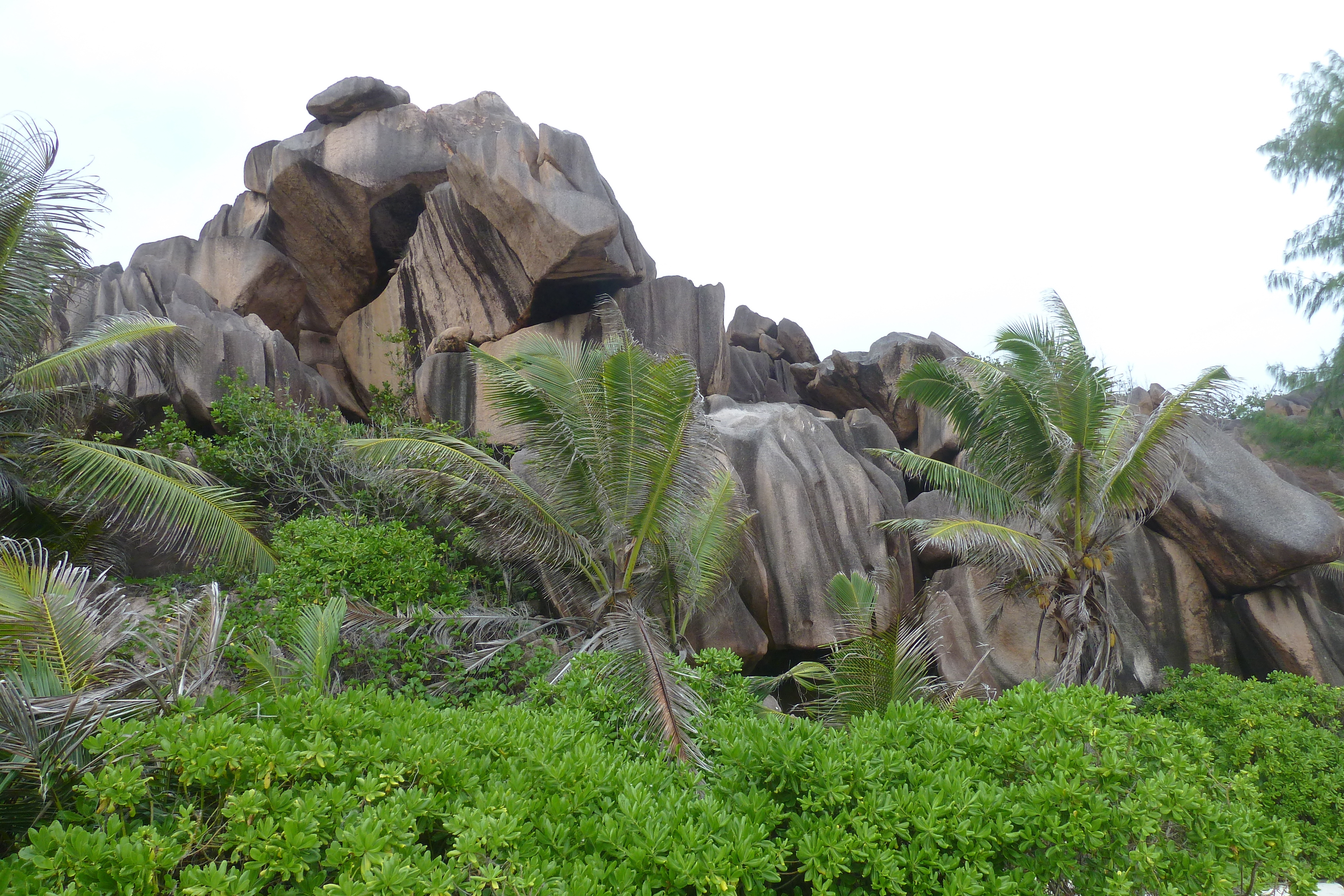 Photo Seychelles La Digue 2011-10 187