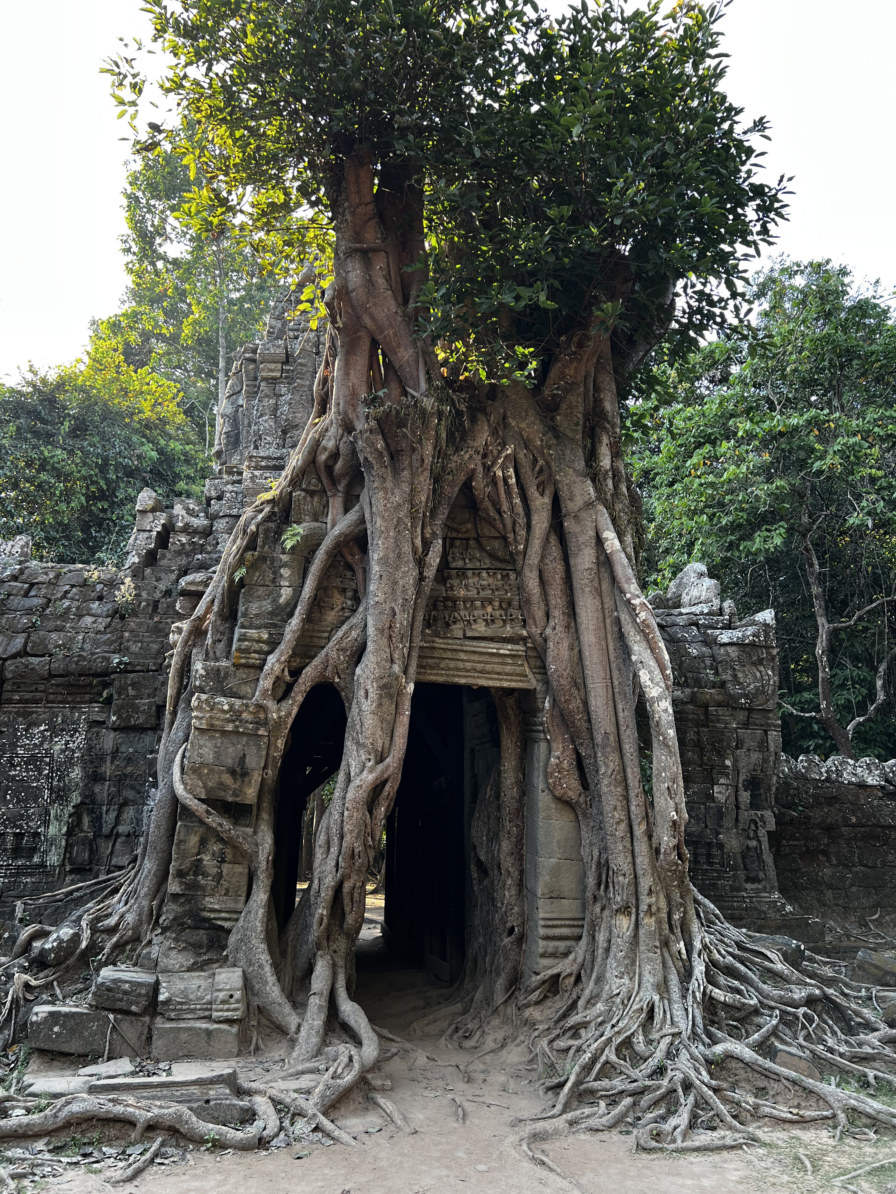 Photo Cambodge Siem Reap Ta Som 2023-01 36