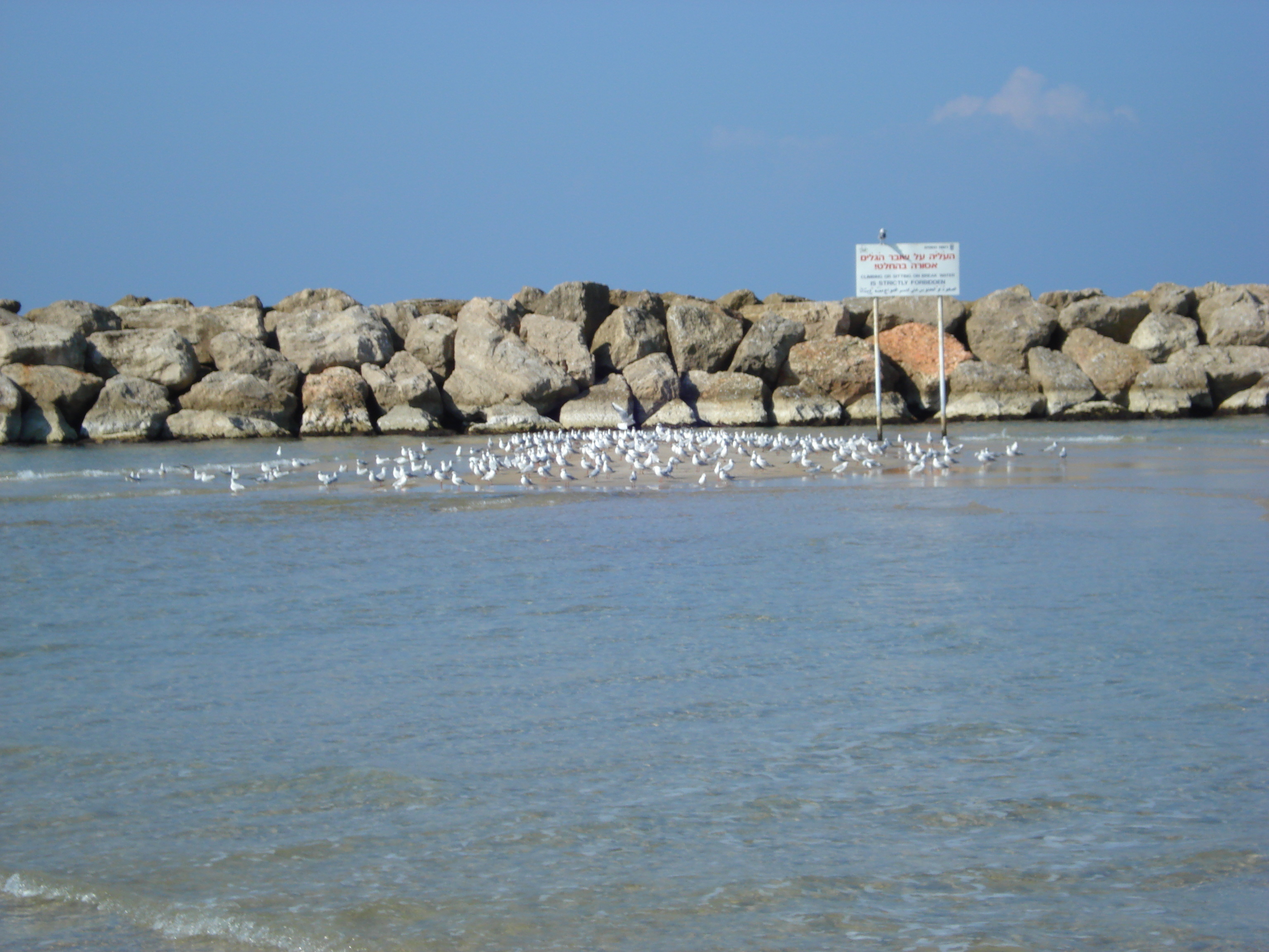 Photo Israel Herzliya 2006-12 32