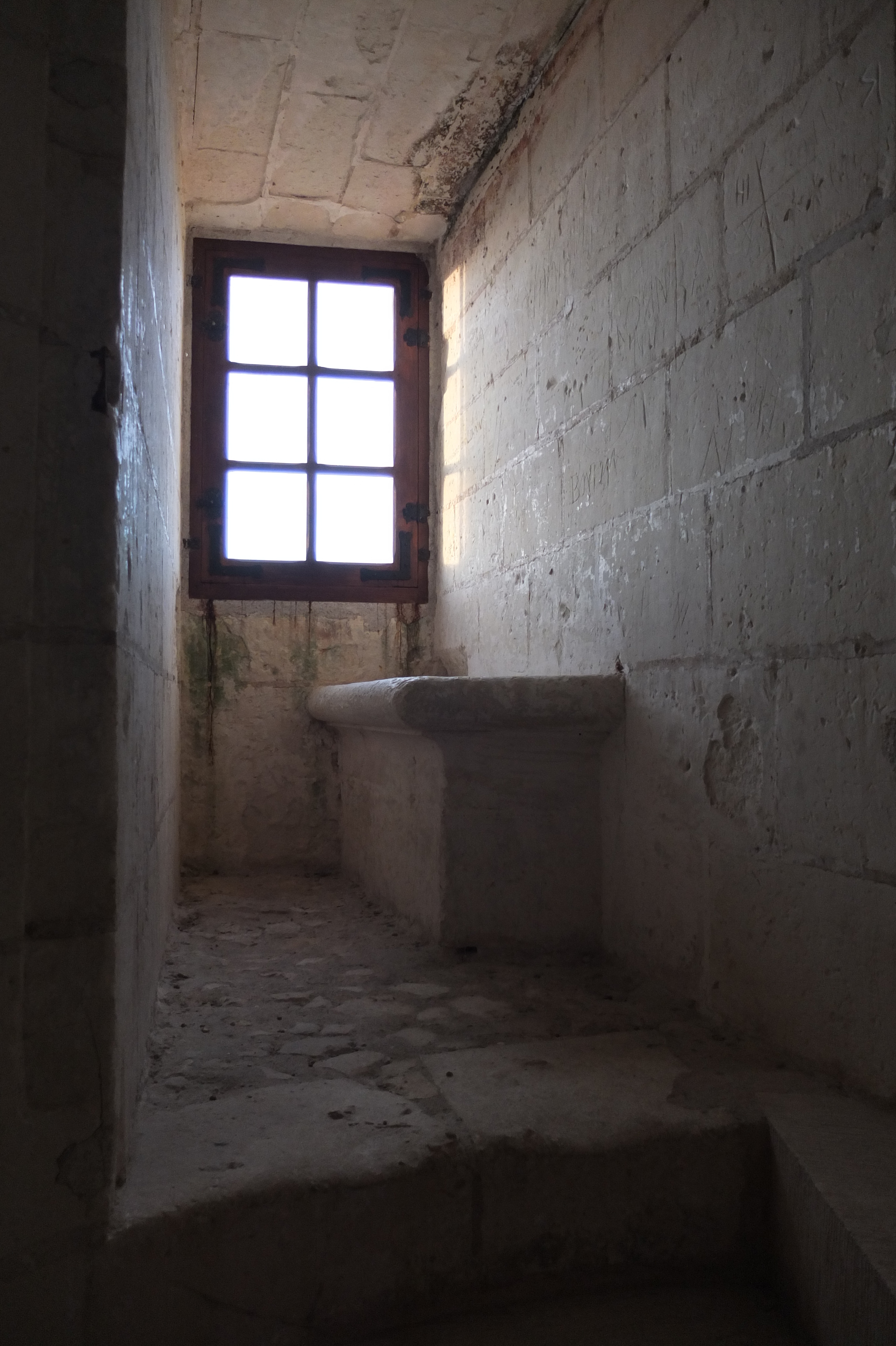 Photo France Château de Loches 2013-01 21