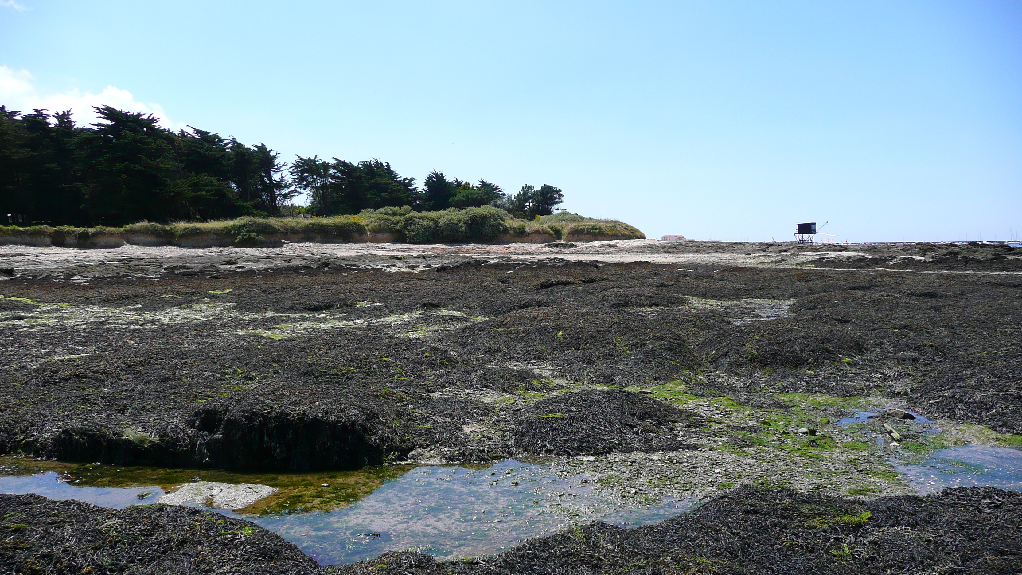 Photo France Préfailles La pointe Saint Gildas à La Pree 2007-08 16