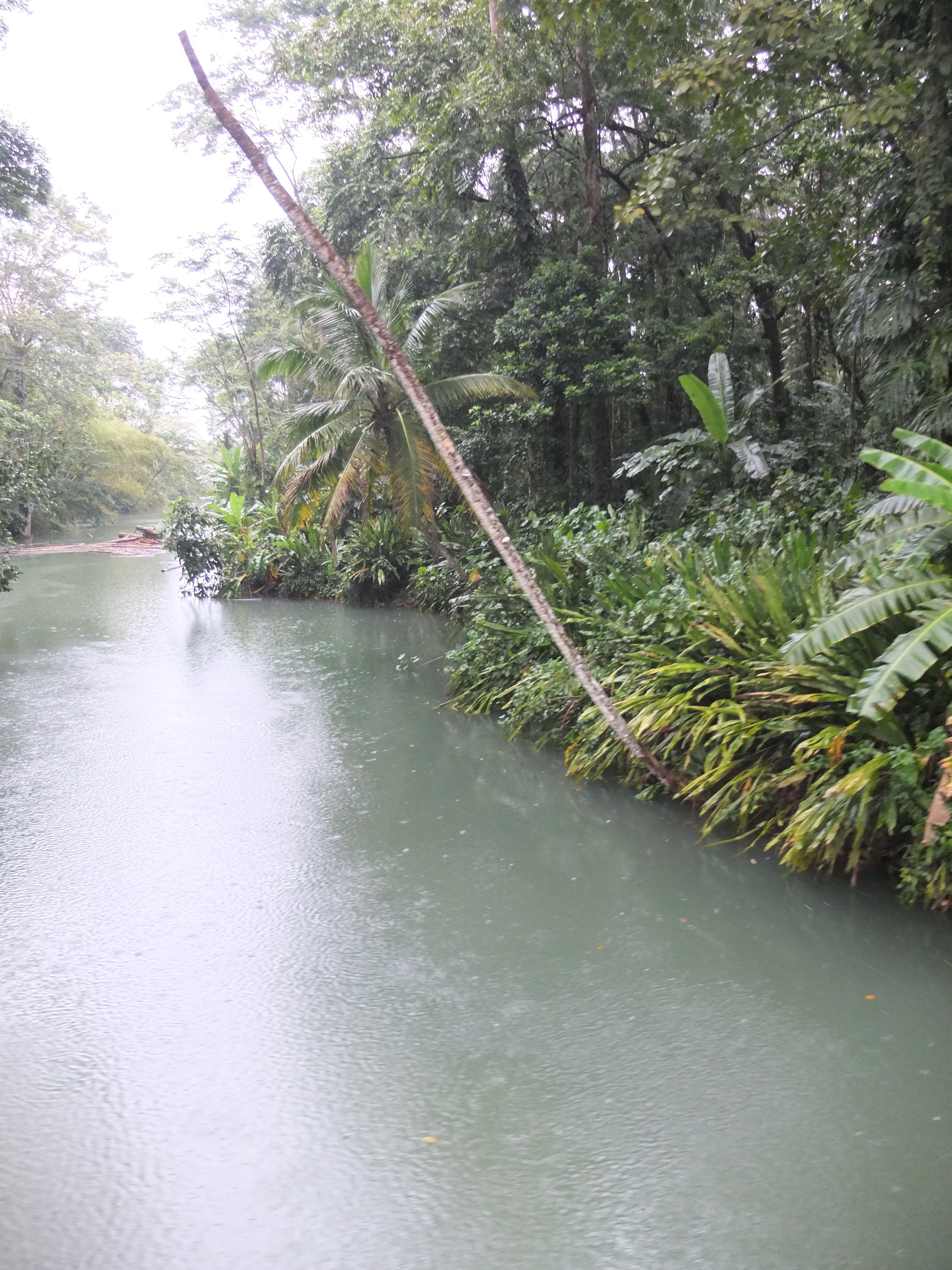 Photo Costa Rica Puerto Viejo de Talamanca 2015-03 135