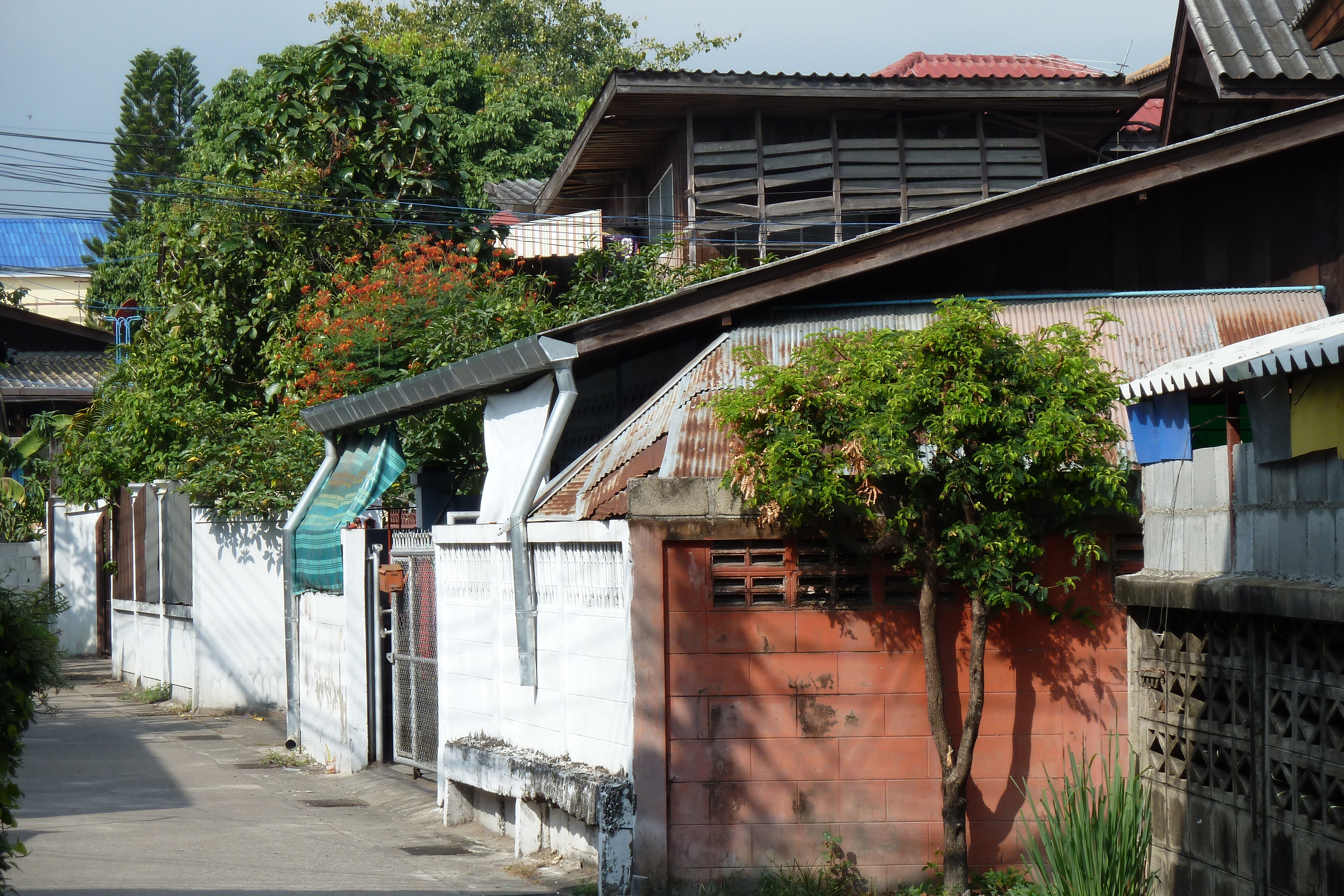 Photo Thaïlande Chiang Mai 2010-12 24