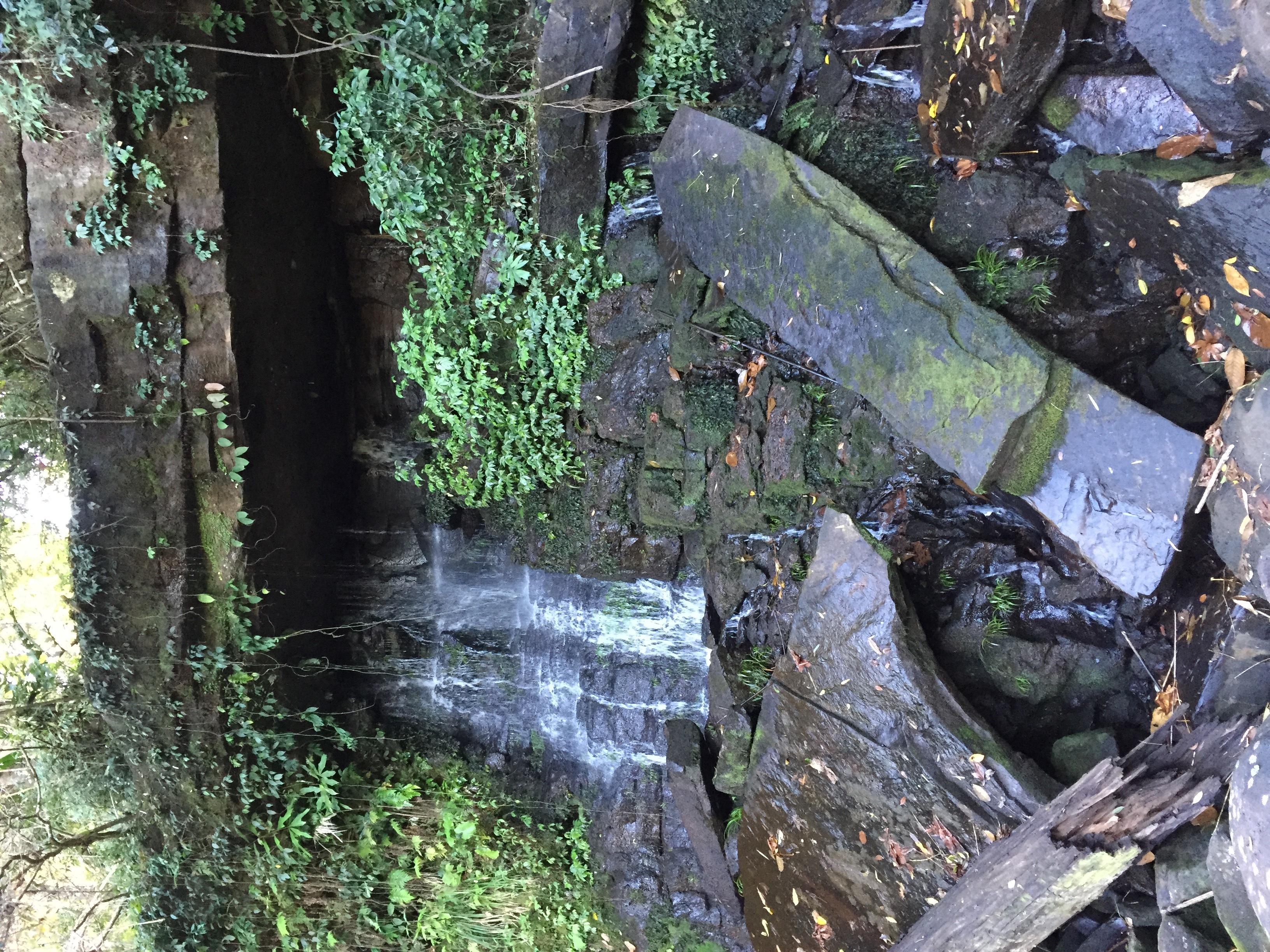 Photo Thaïlande Parc National Phu Hin Rong Kla 2014-12 266
