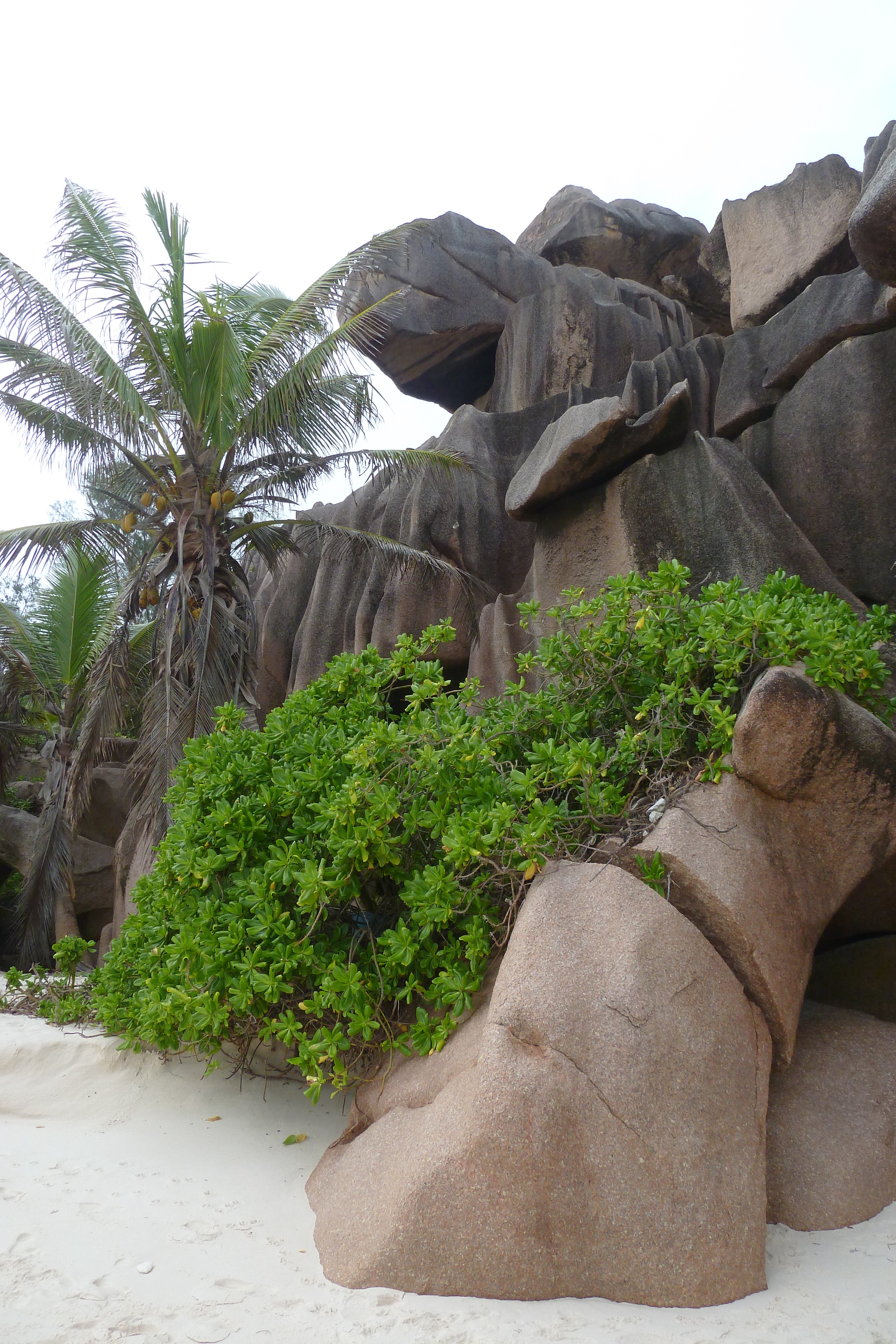 Photo Seychelles La Digue 2011-10 209