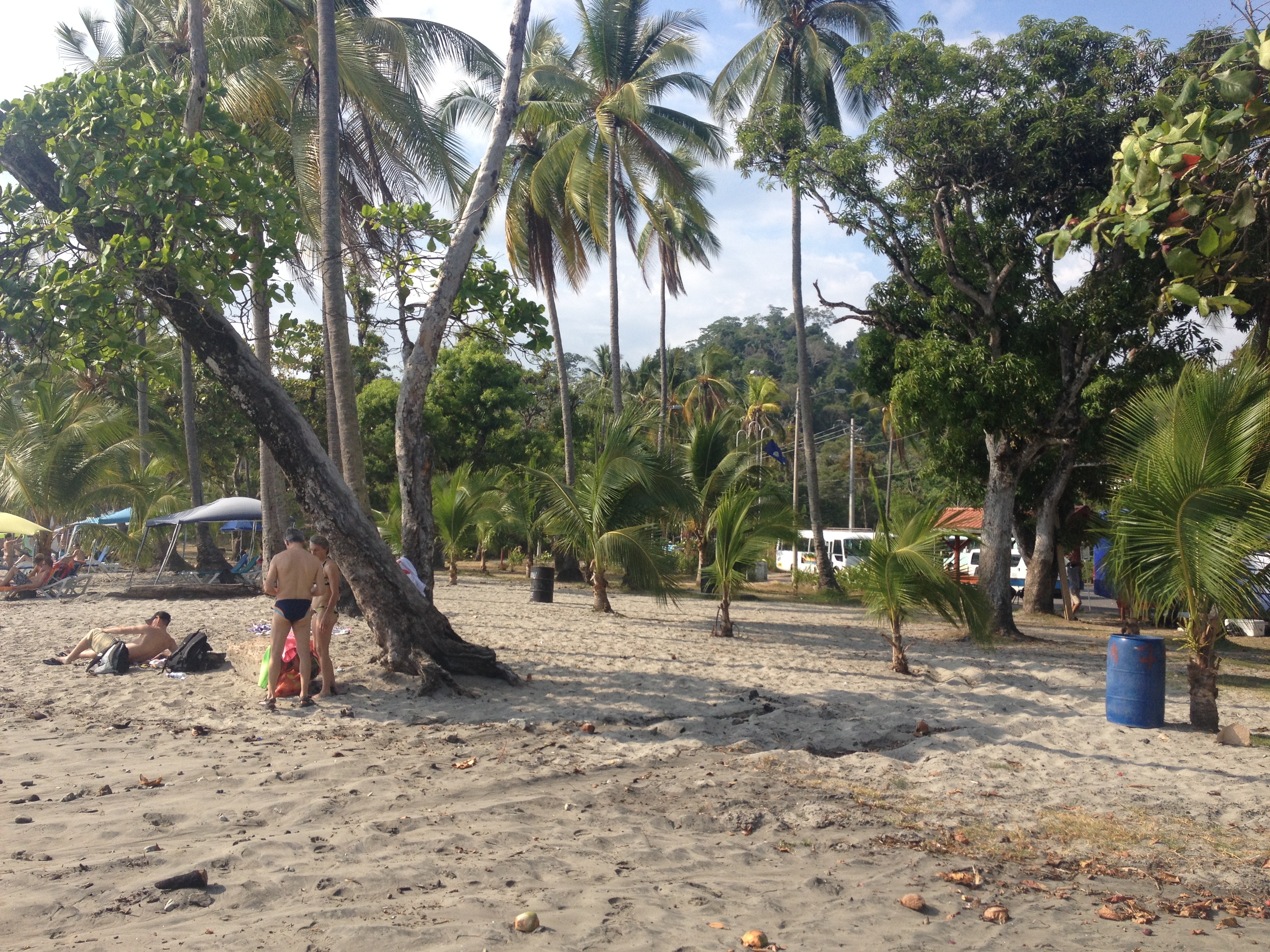 Photo Costa Rica Parc Manuel Antonio 2015-03 365