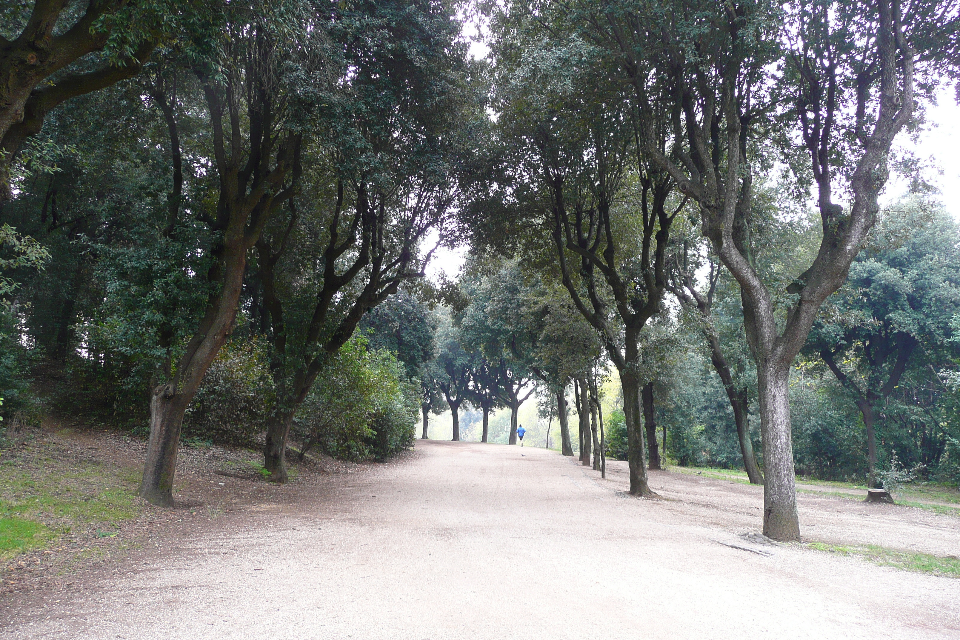 Photo Italie Rome Villa Doria Pamphili 2007-11 68