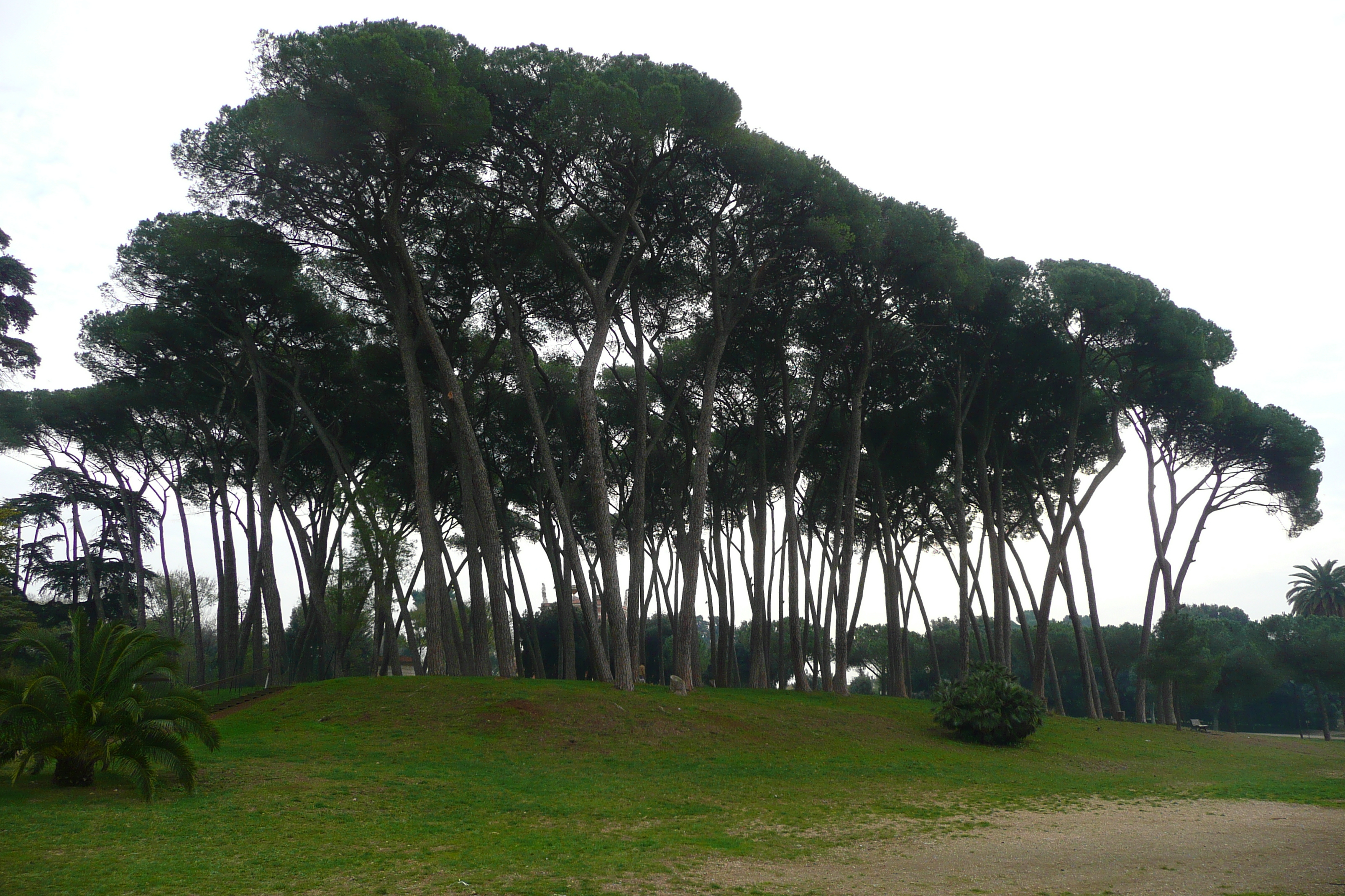 Photo Italie Rome Villa Doria Pamphili 2007-11 80
