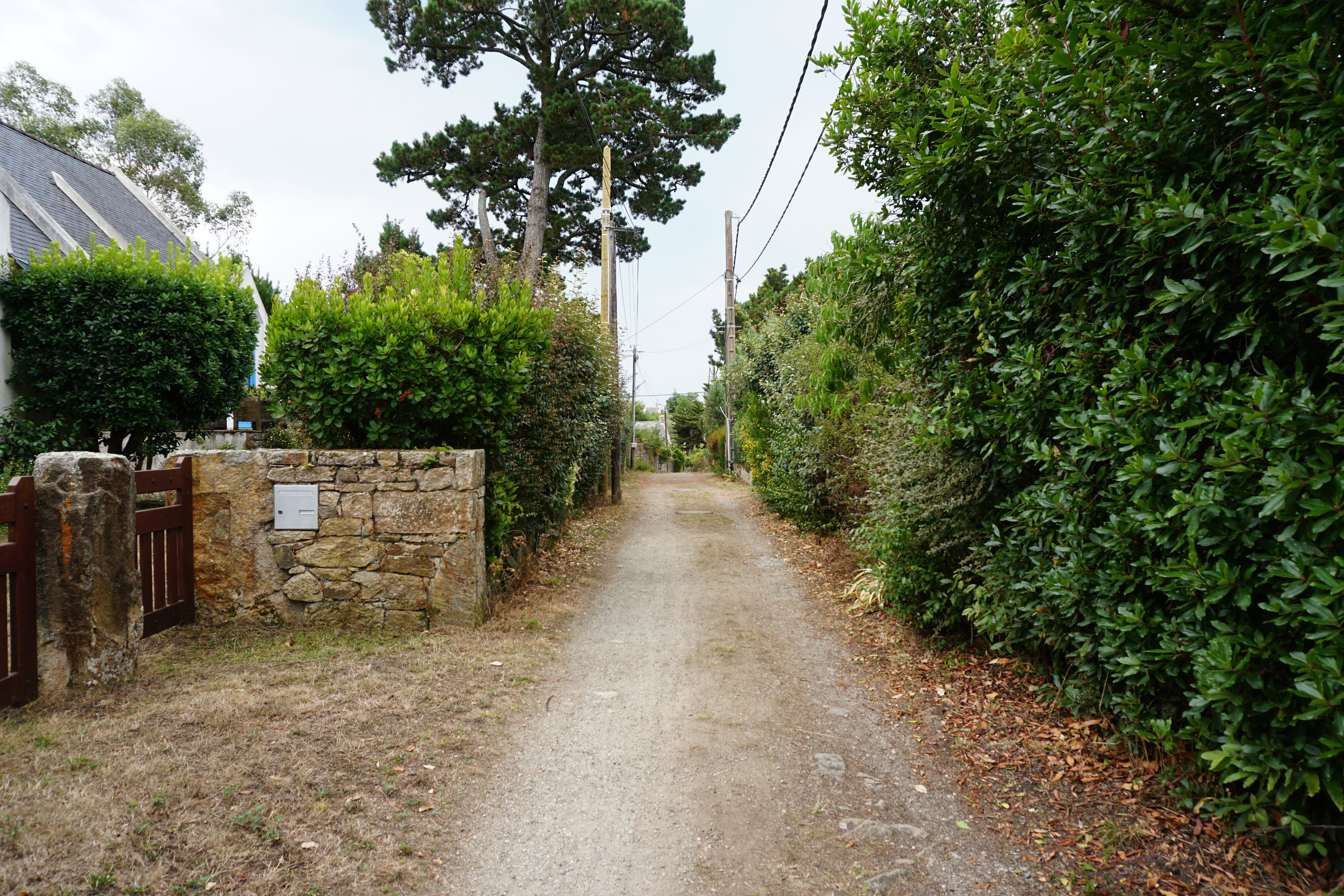 Photo France Île-aux-Moines 2016-08 109