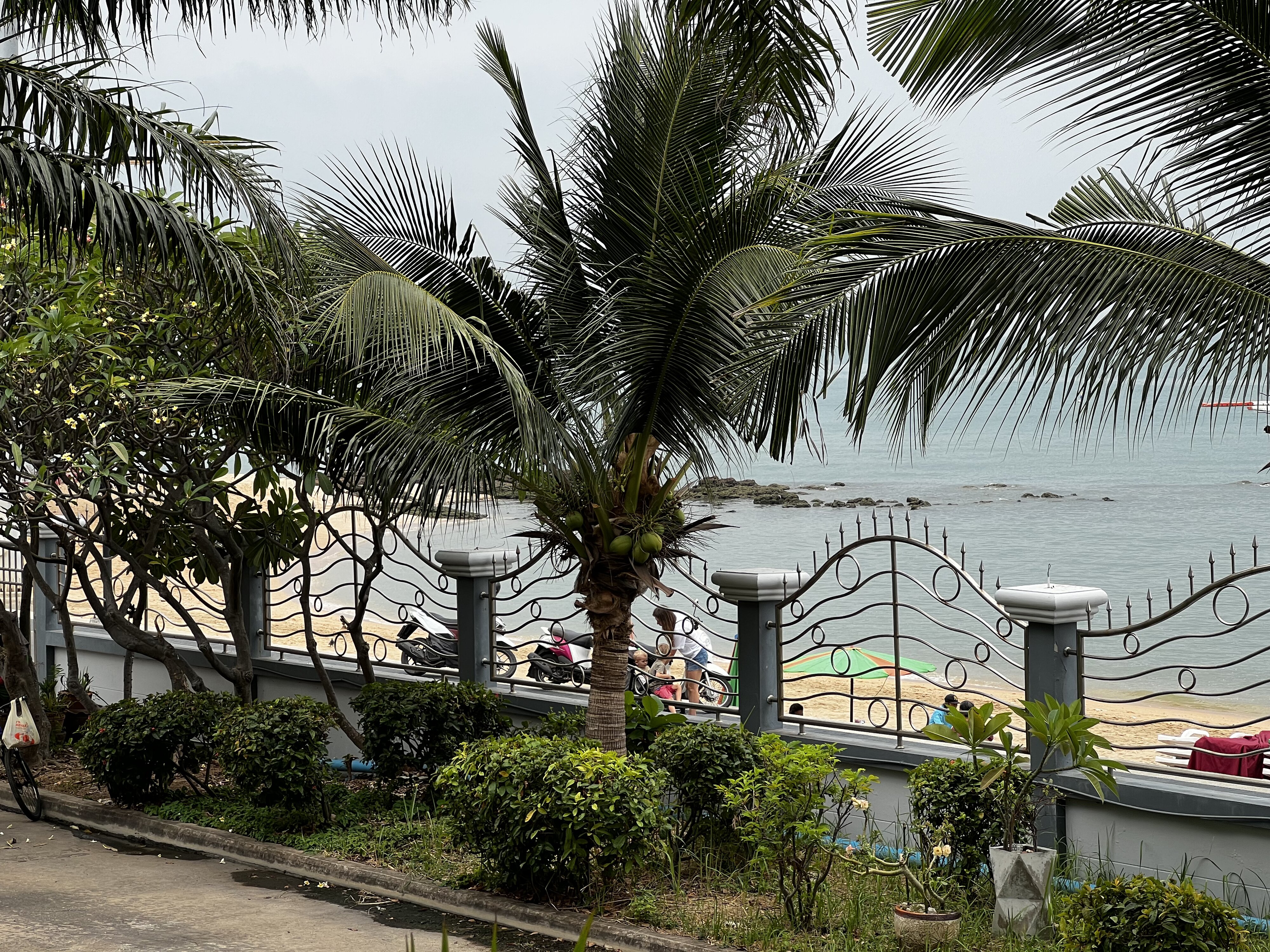 Photo Thaïlande Pattaya 2023-01 12