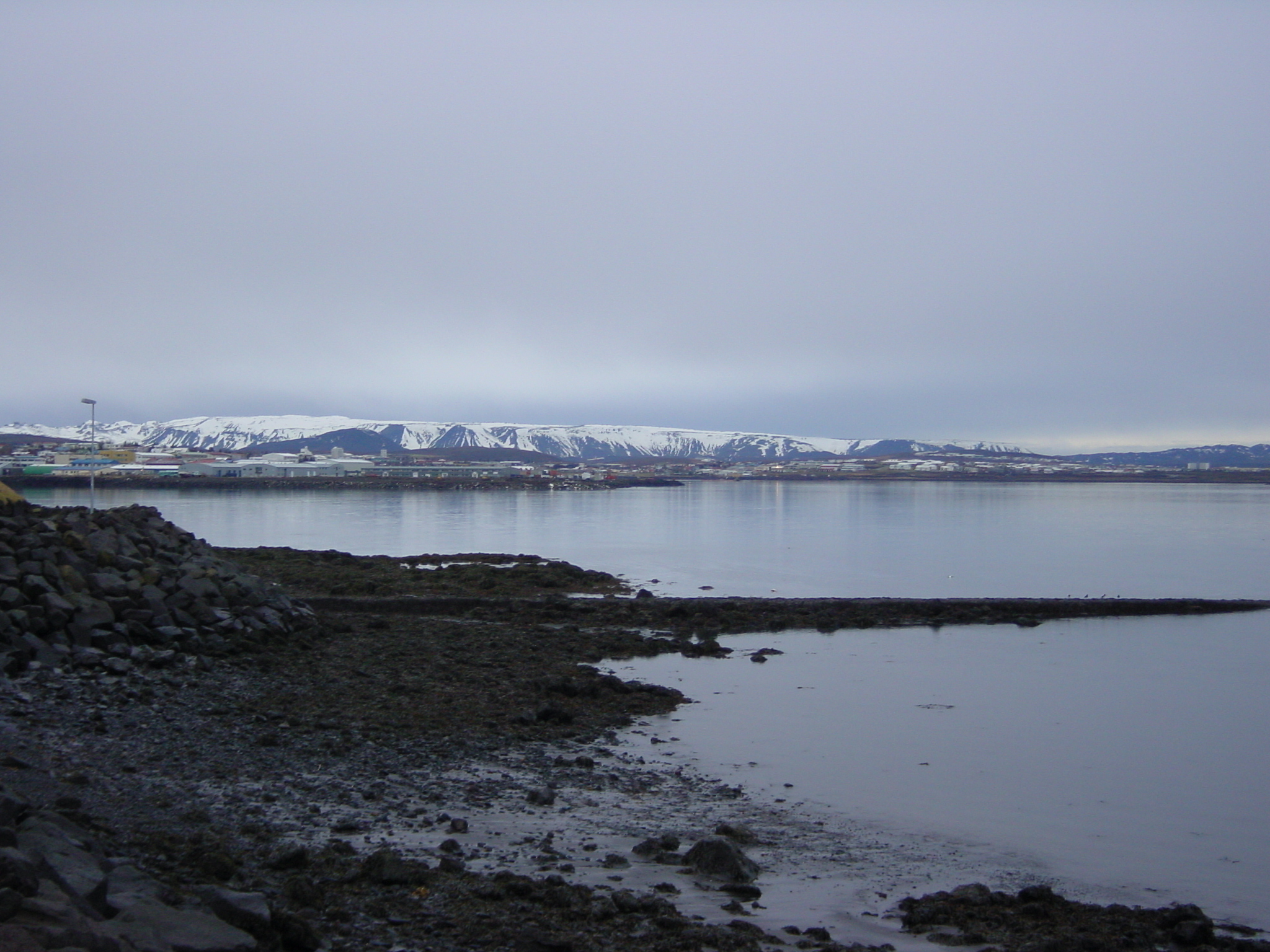 Photo Islande Route 36 de Mosfellbaer à Pingvellir 2003-03 12