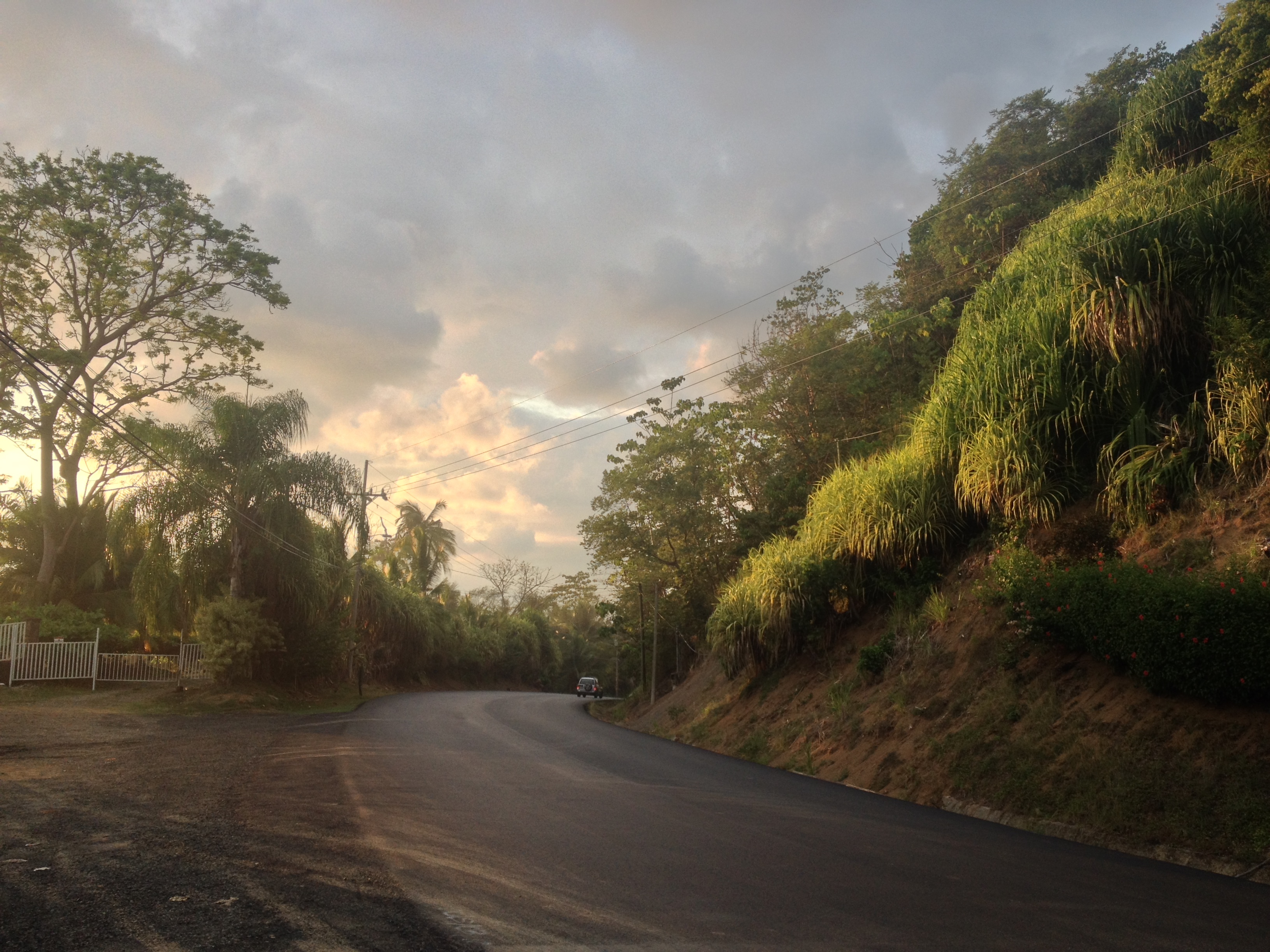 Photo Costa Rica 2015-03 82