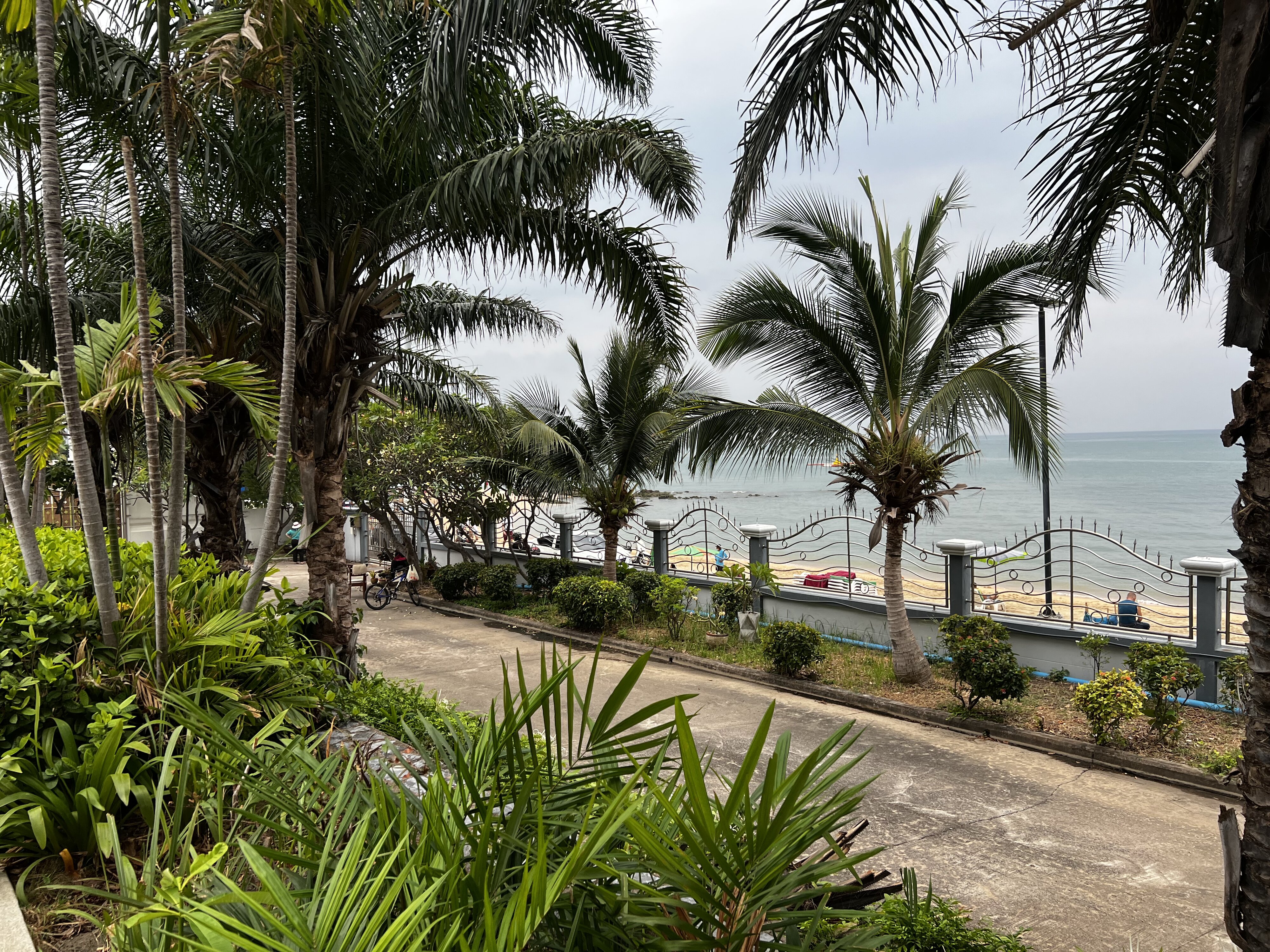 Photo Thaïlande Pattaya 2023-01 74