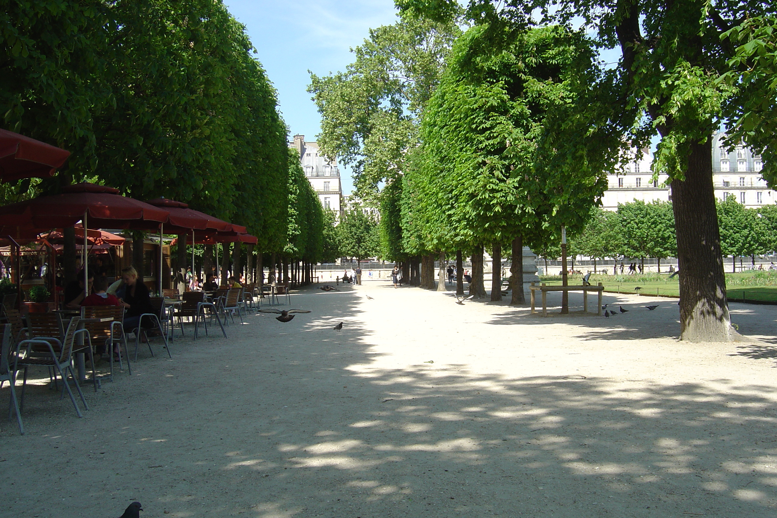 Photo France Paris Jardin des Tuileries 2007-05 54