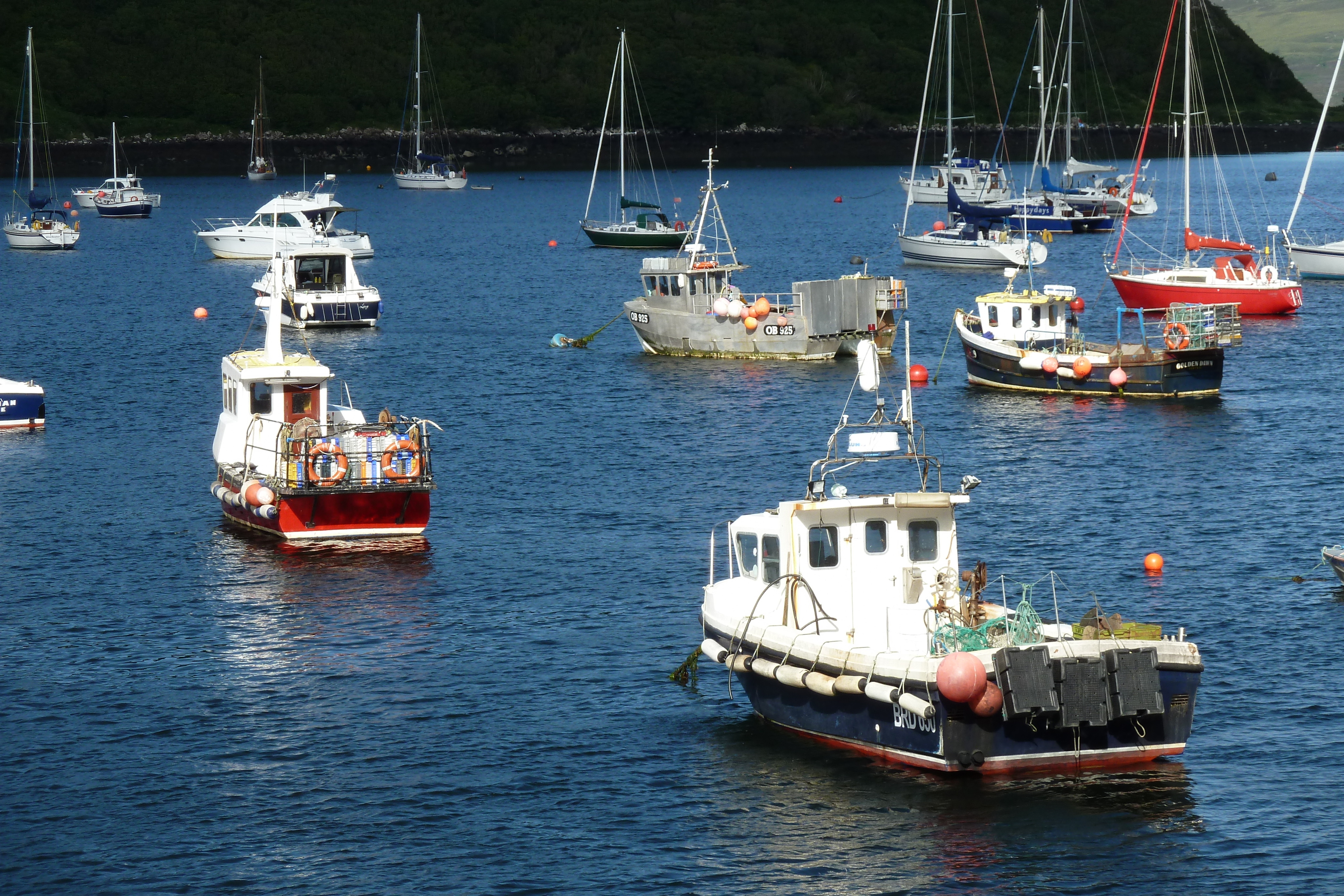 Photo Royaume-Uni Skye Portree 2011-07 34