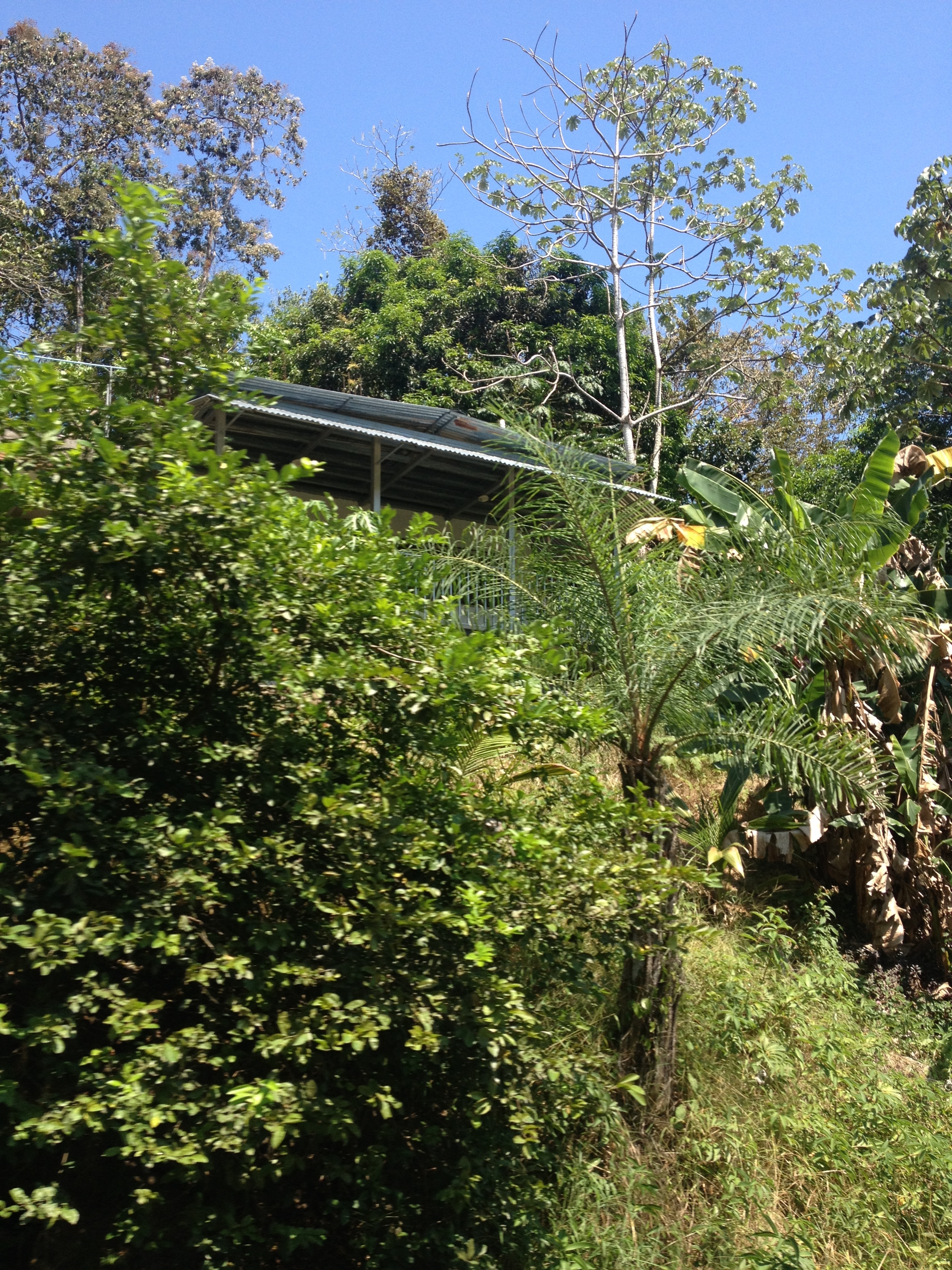 Photo Costa Rica Parc Manuel Antonio 2015-03 436