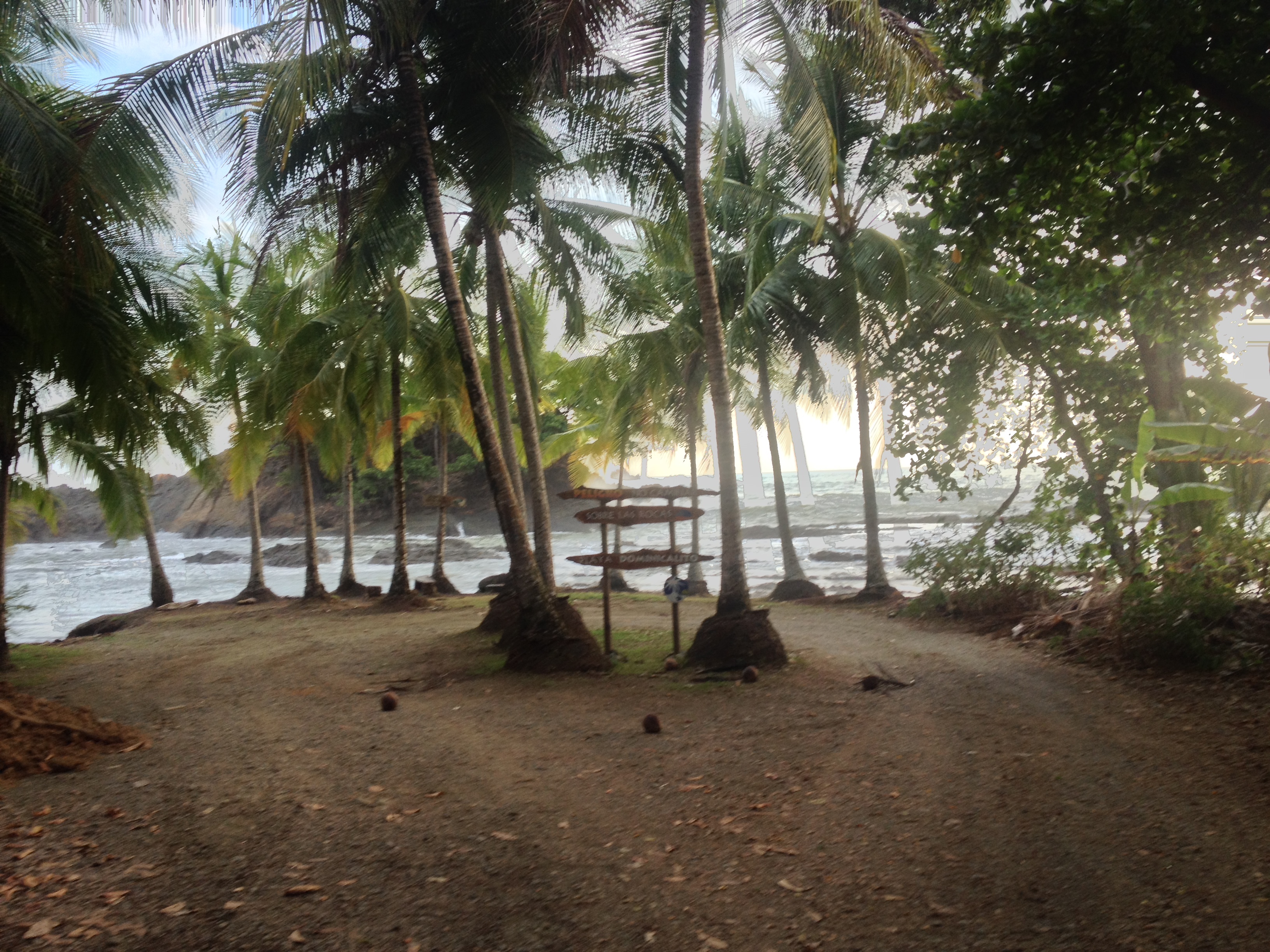 Photo Costa Rica Dominical 2015-03 139