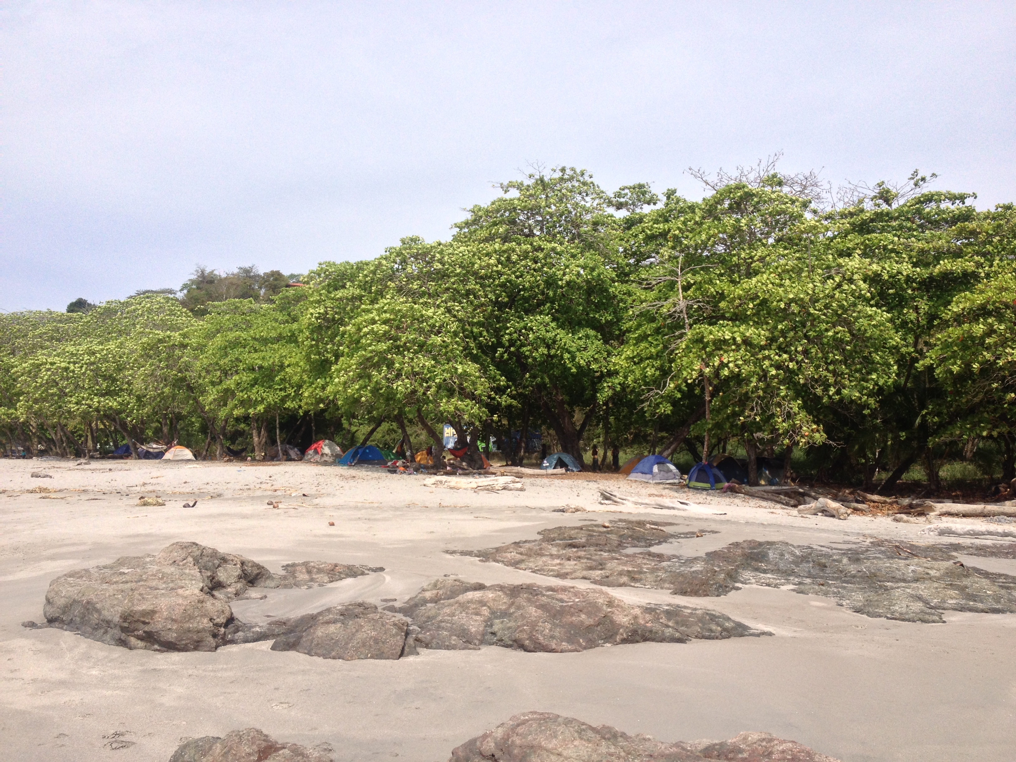 Photo Costa Rica Montezuma 2015-03 593