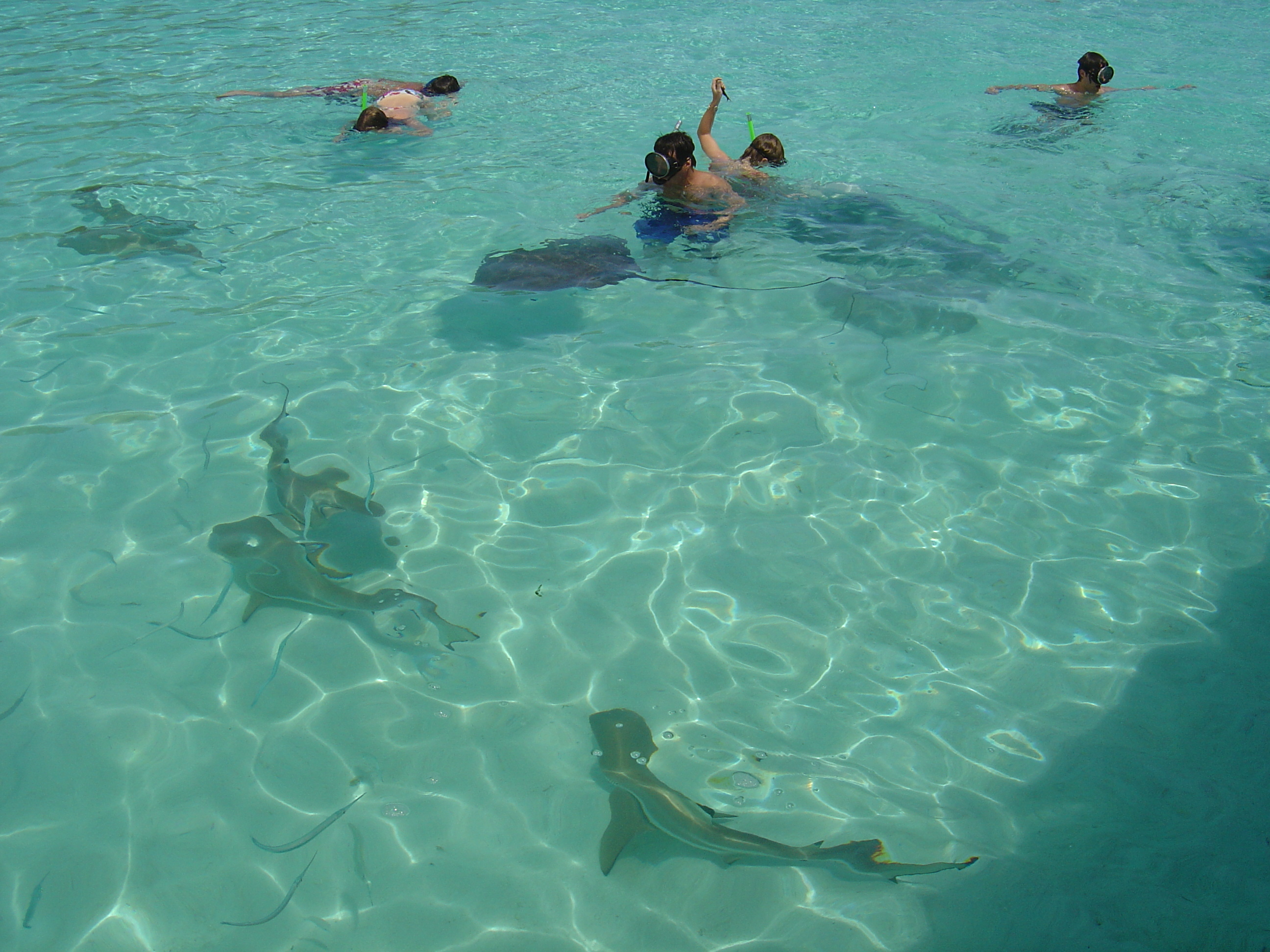 Photo Polynésie Mooréa 2006-04 171