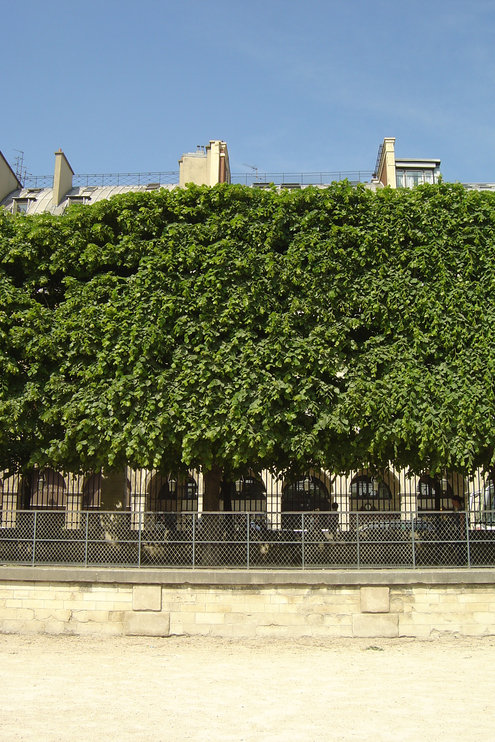 Photo France Paris Jardin des Tuileries 2007-05 17