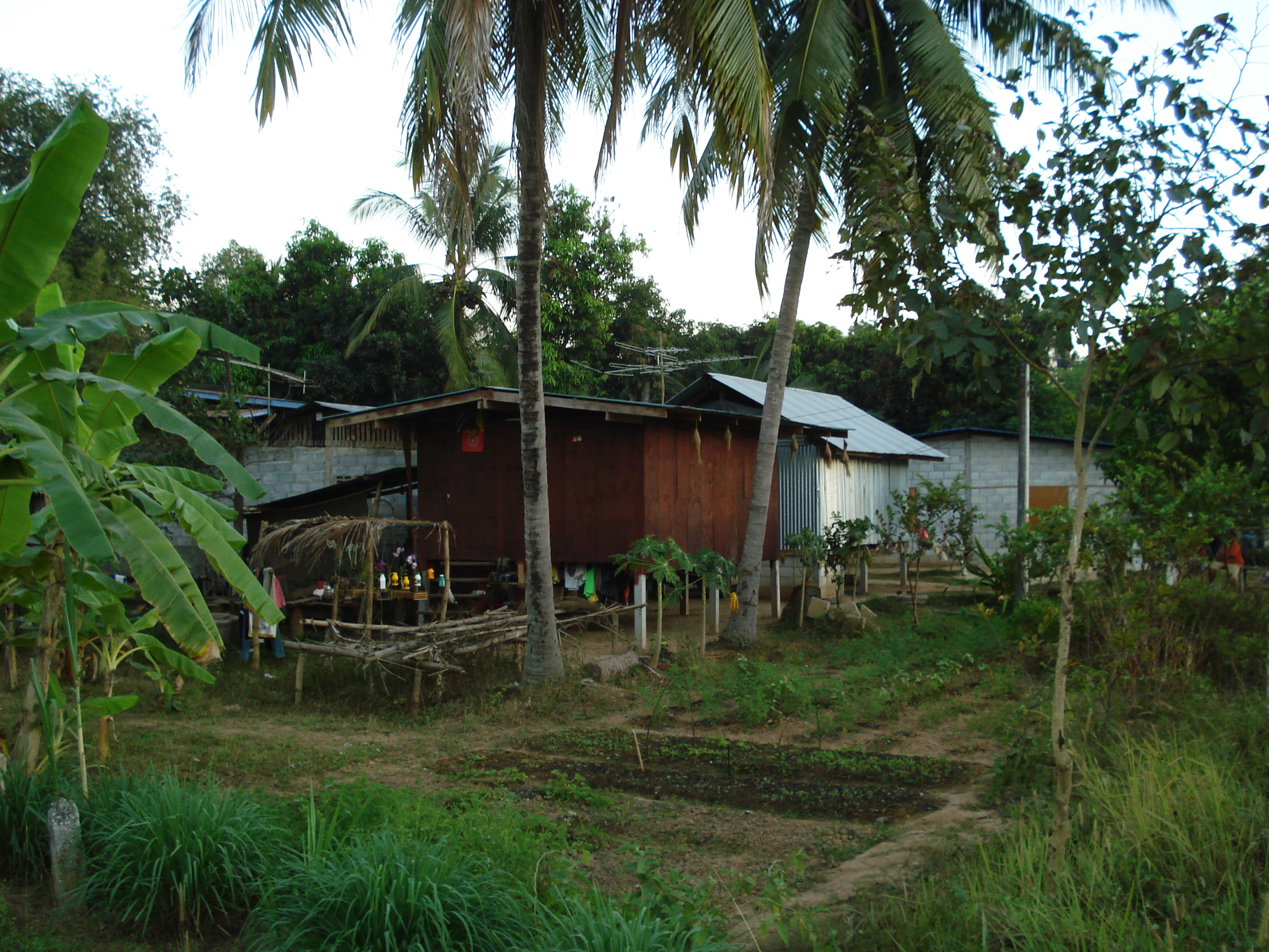 Photo Thaïlande Phitsanulok rue Jomthong 2008-01 35