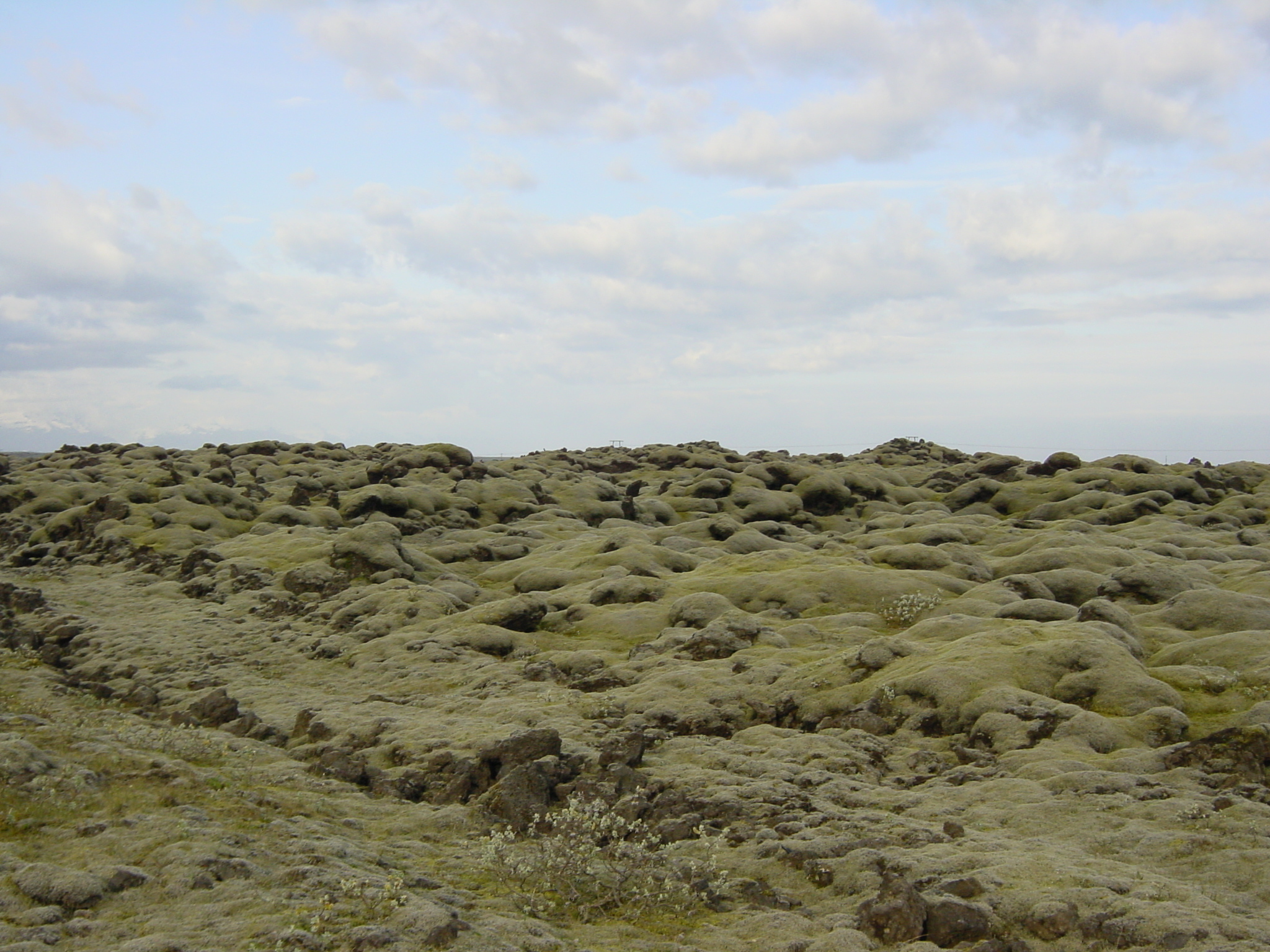 Photo Islande Route 1 de Jokulsarlon à vik 2003-06 20