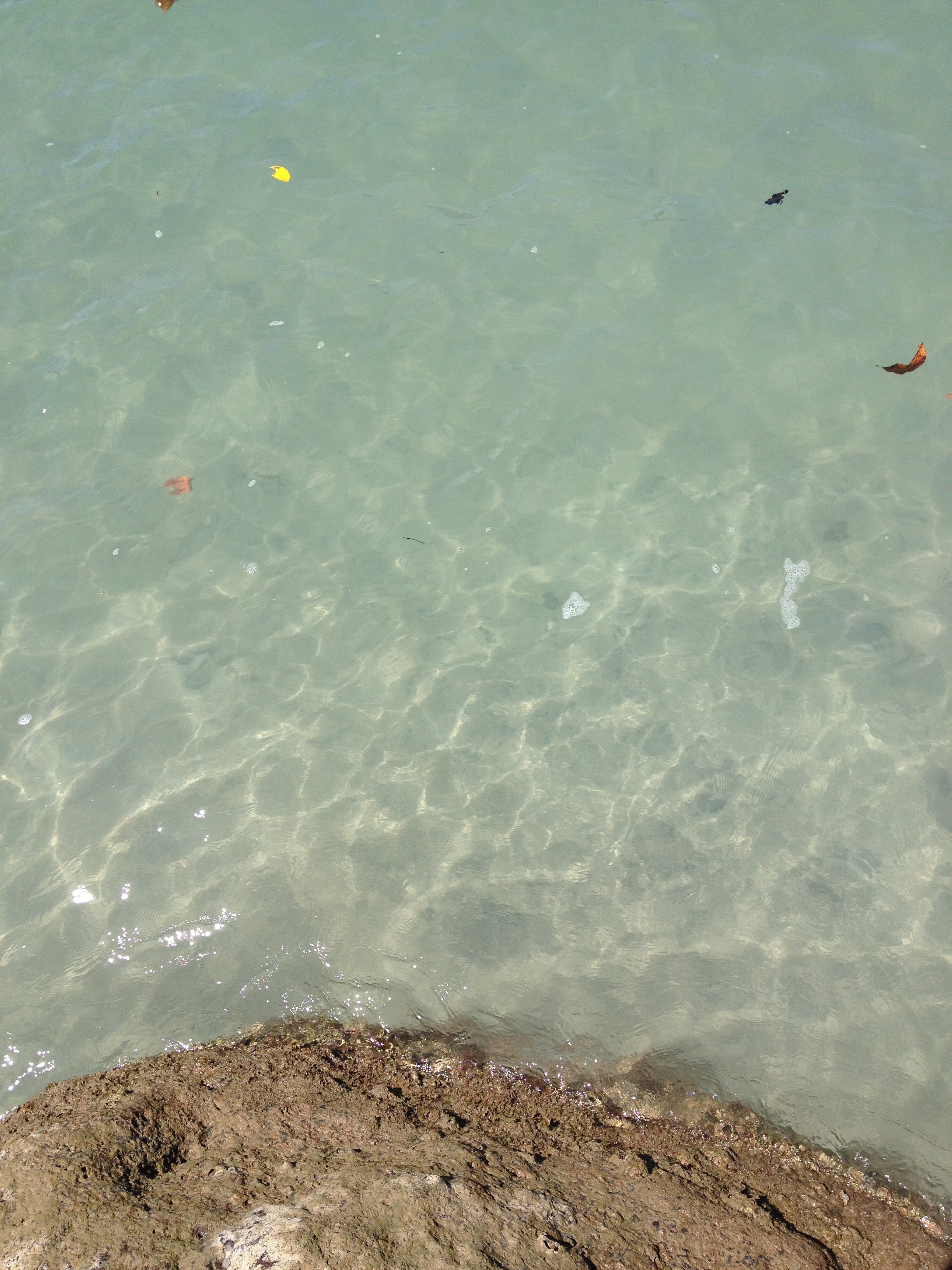 Photo Costa Rica Parc Manuel Antonio 2015-03 360