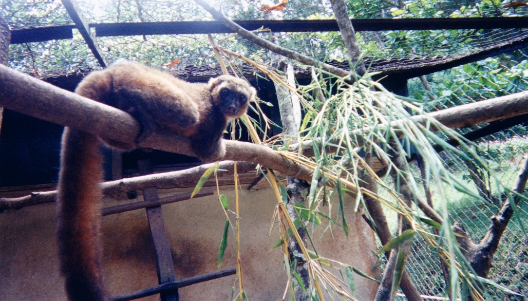 Photo Madagascar 1999-10 30