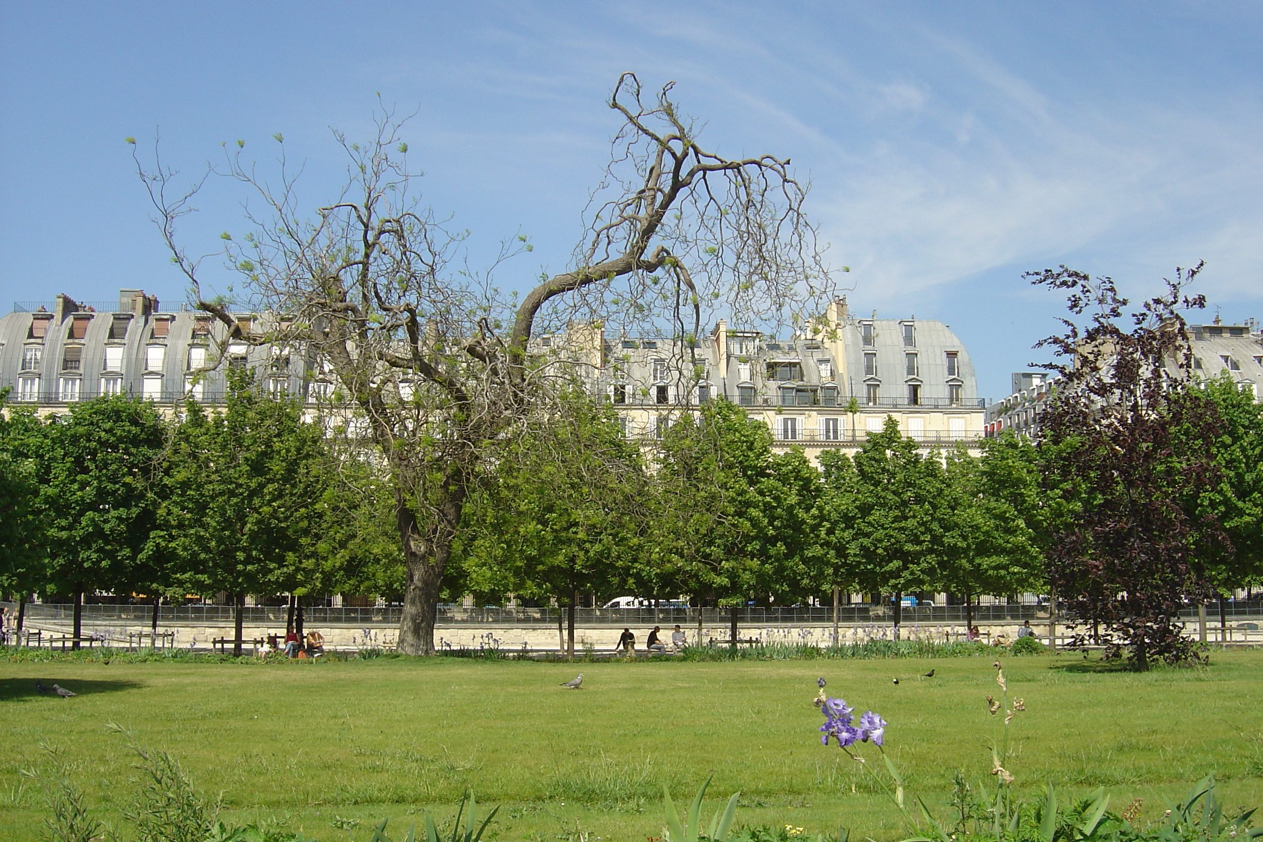 Photo France Paris Jardin des Tuileries 2007-05 136