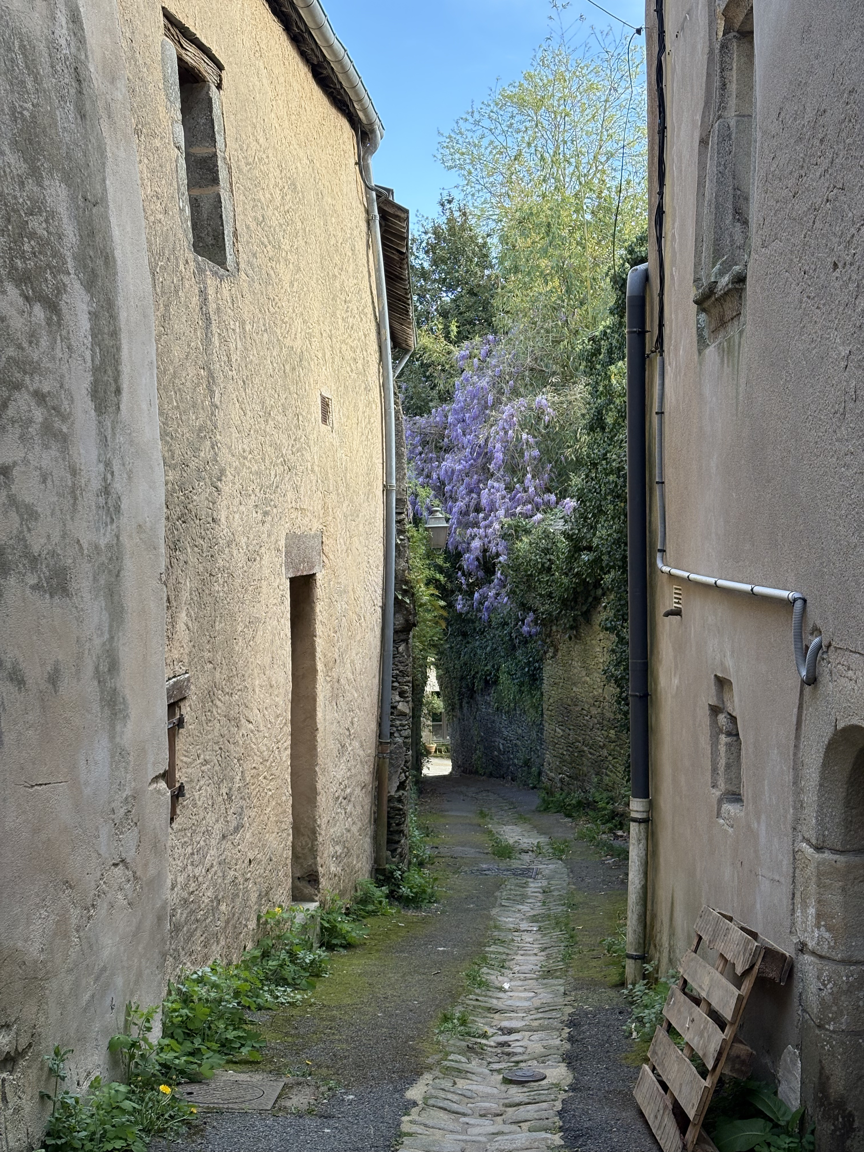 Photo France Rochefort en Terre 2026-04 67