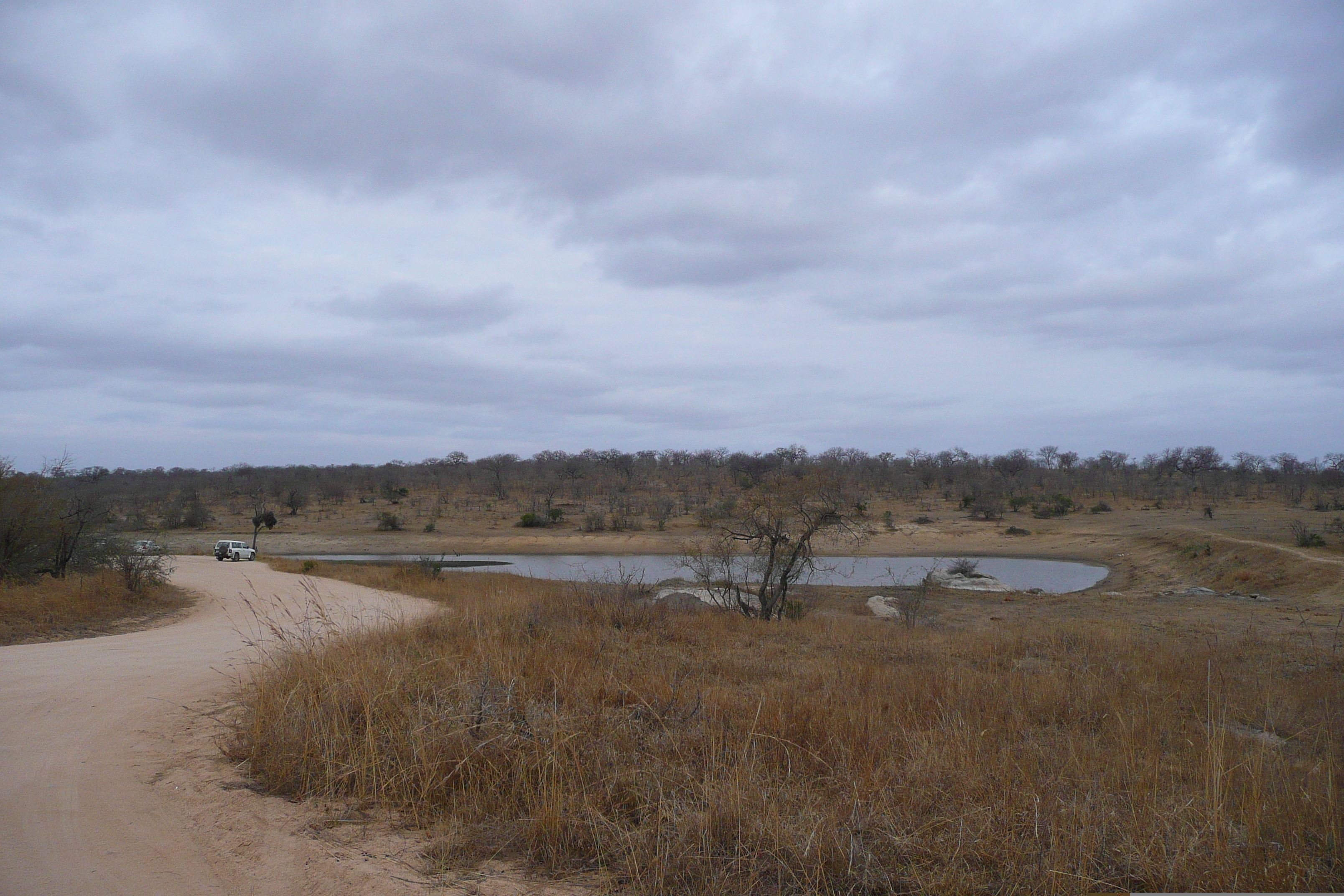 Photo Afrique du Sud Parc National Kruger 2008-09 75