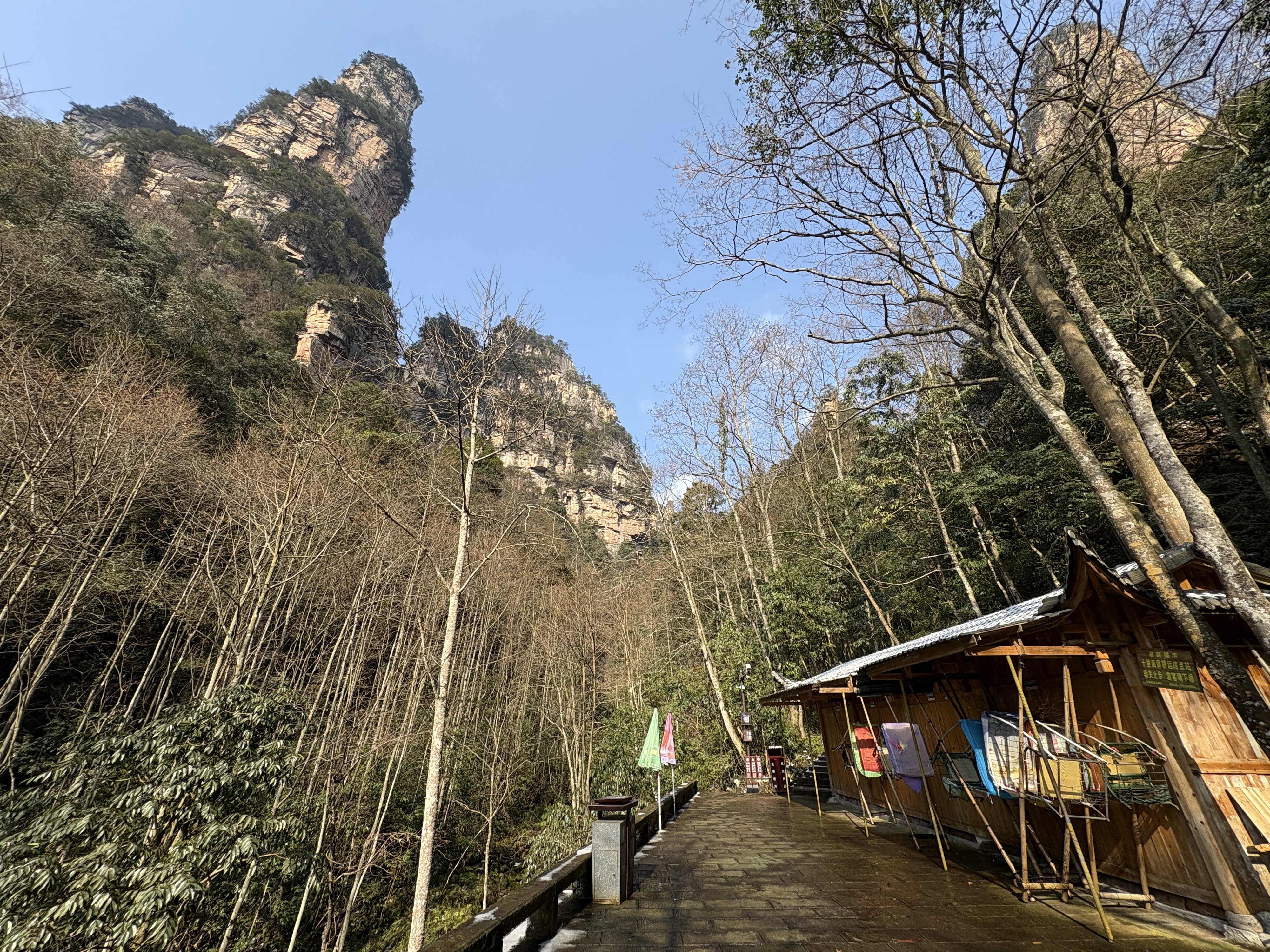 Photo Chine Zhangjiajie Mont Tianzi 2026-01 114