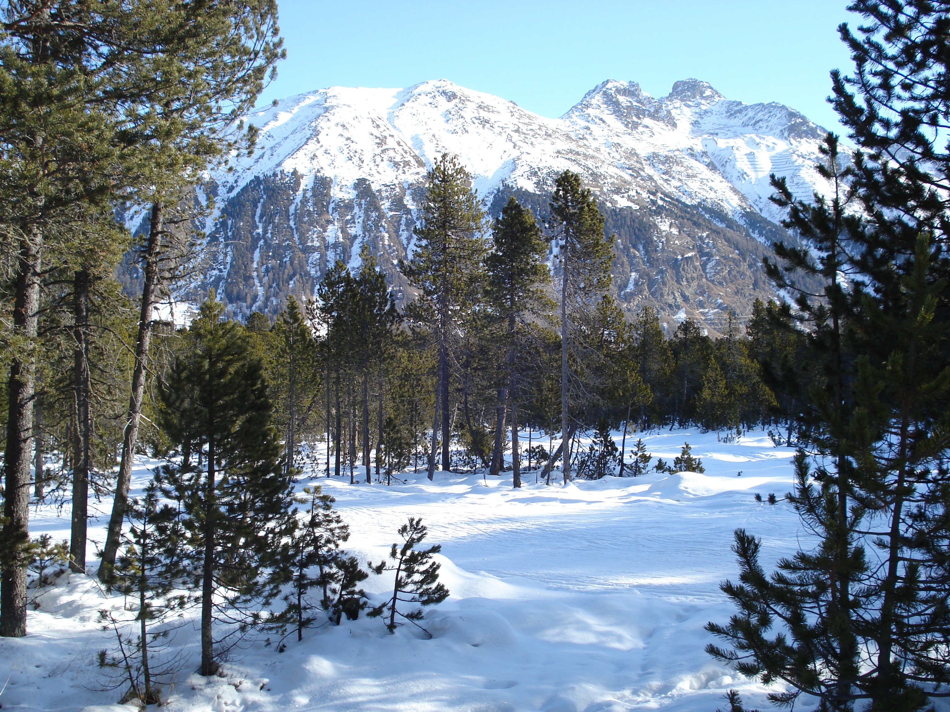 Photo Suisse Saint Moritz Schlarigna 2007-01 12