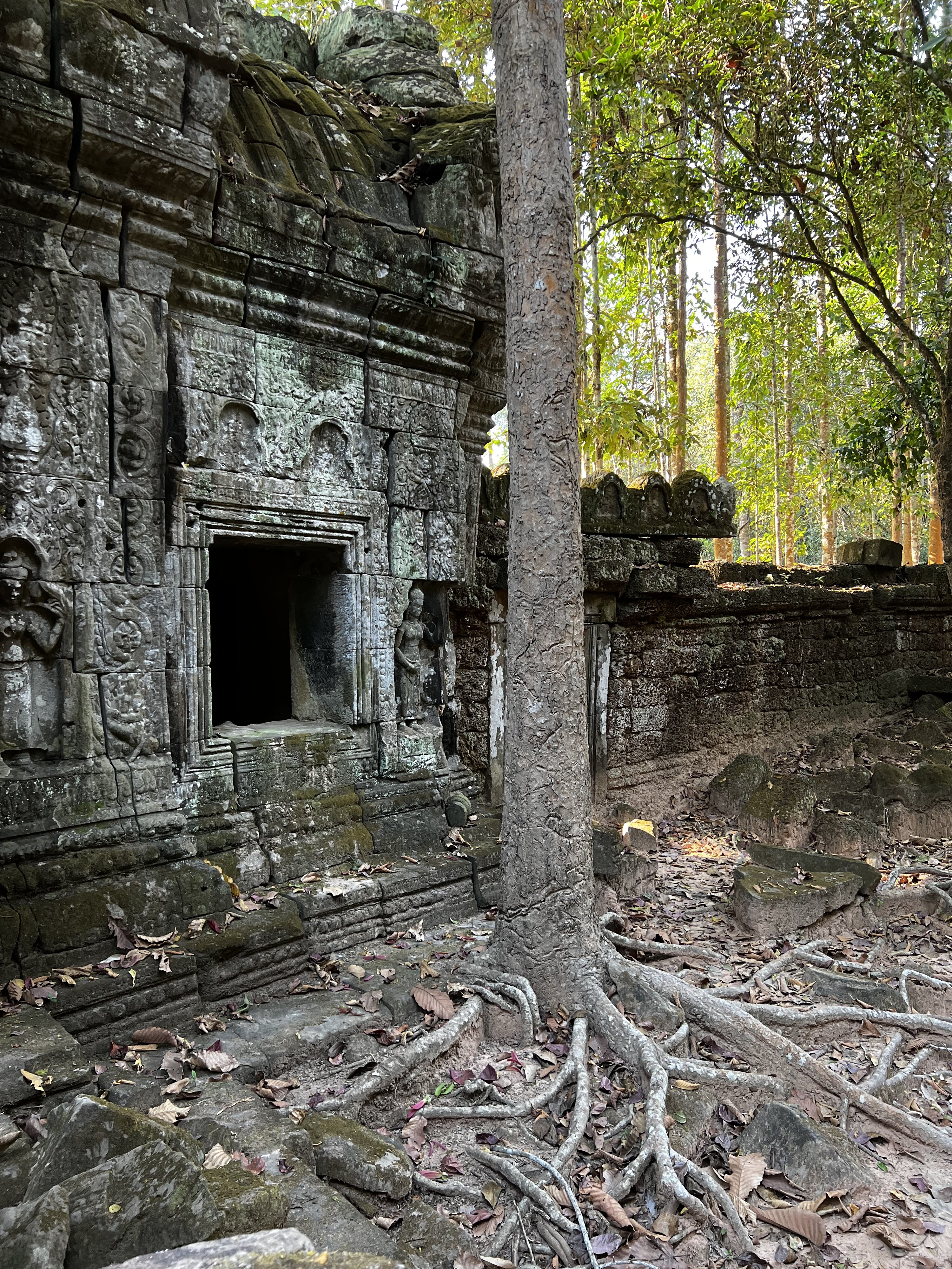 Photo Cambodge Siem Reap Ta Som 2023-01 39