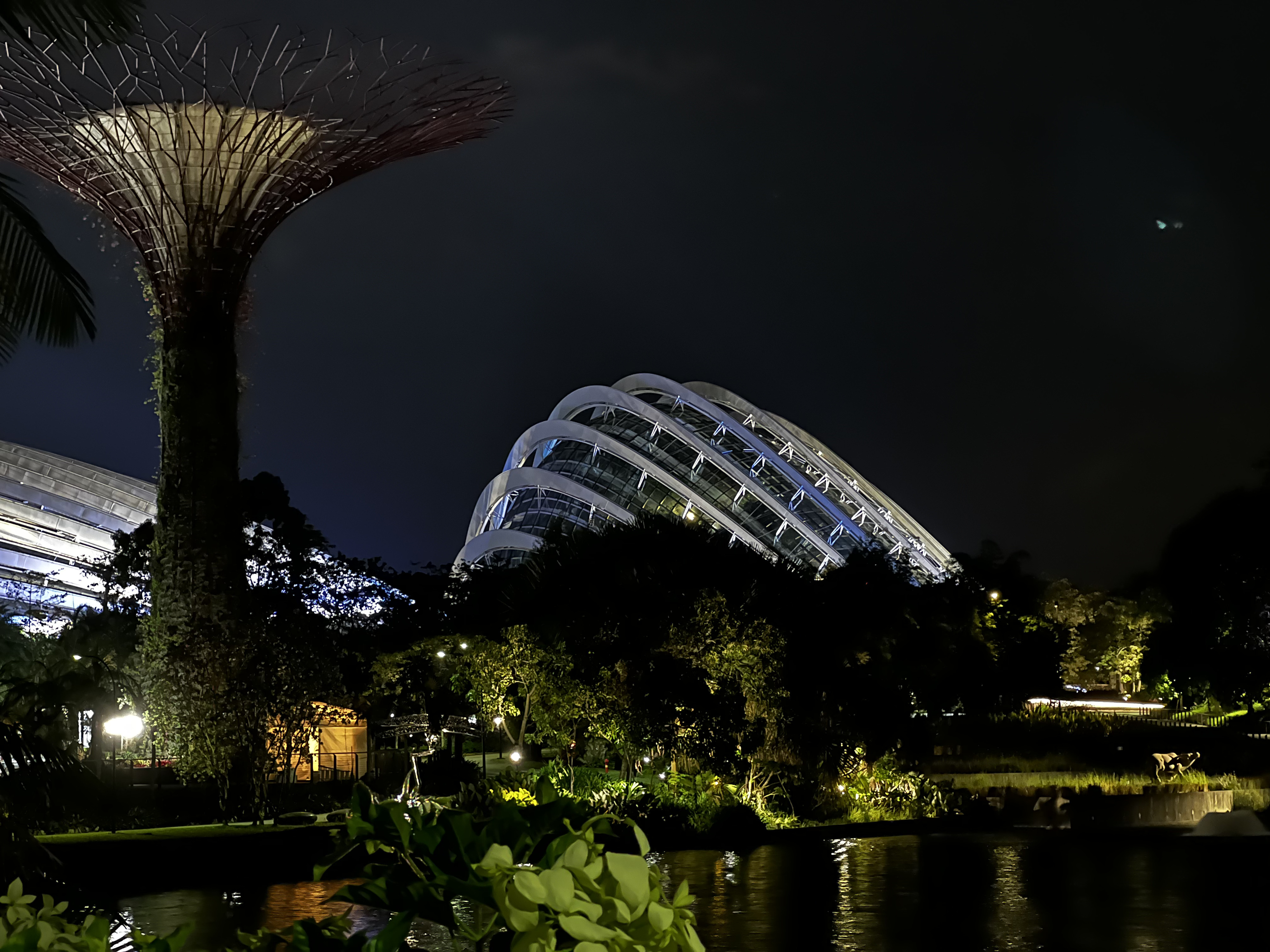 Photo Singapour Garden by the bay 2023-01 19