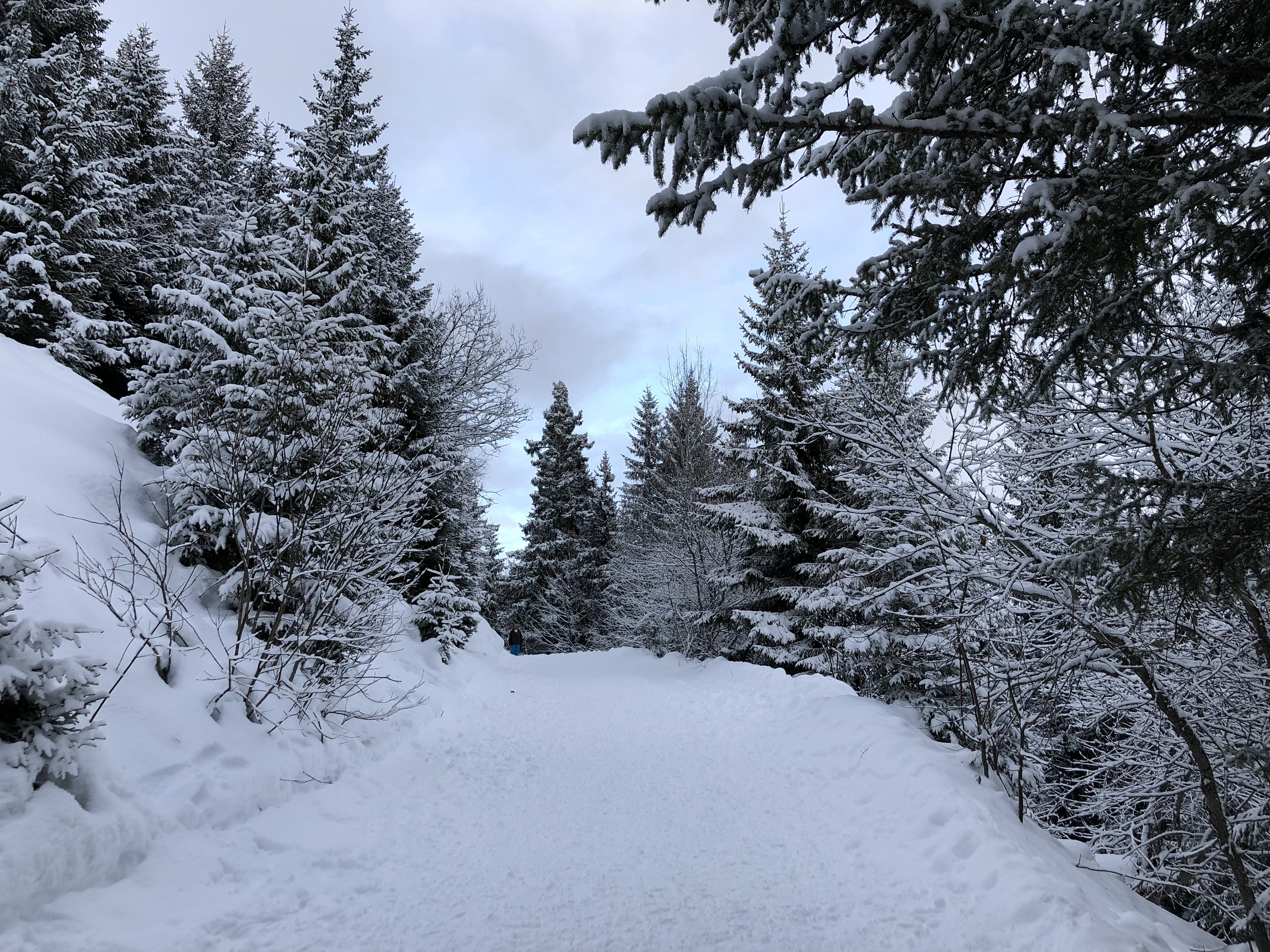 Photo France La Clusaz 2017-12 56