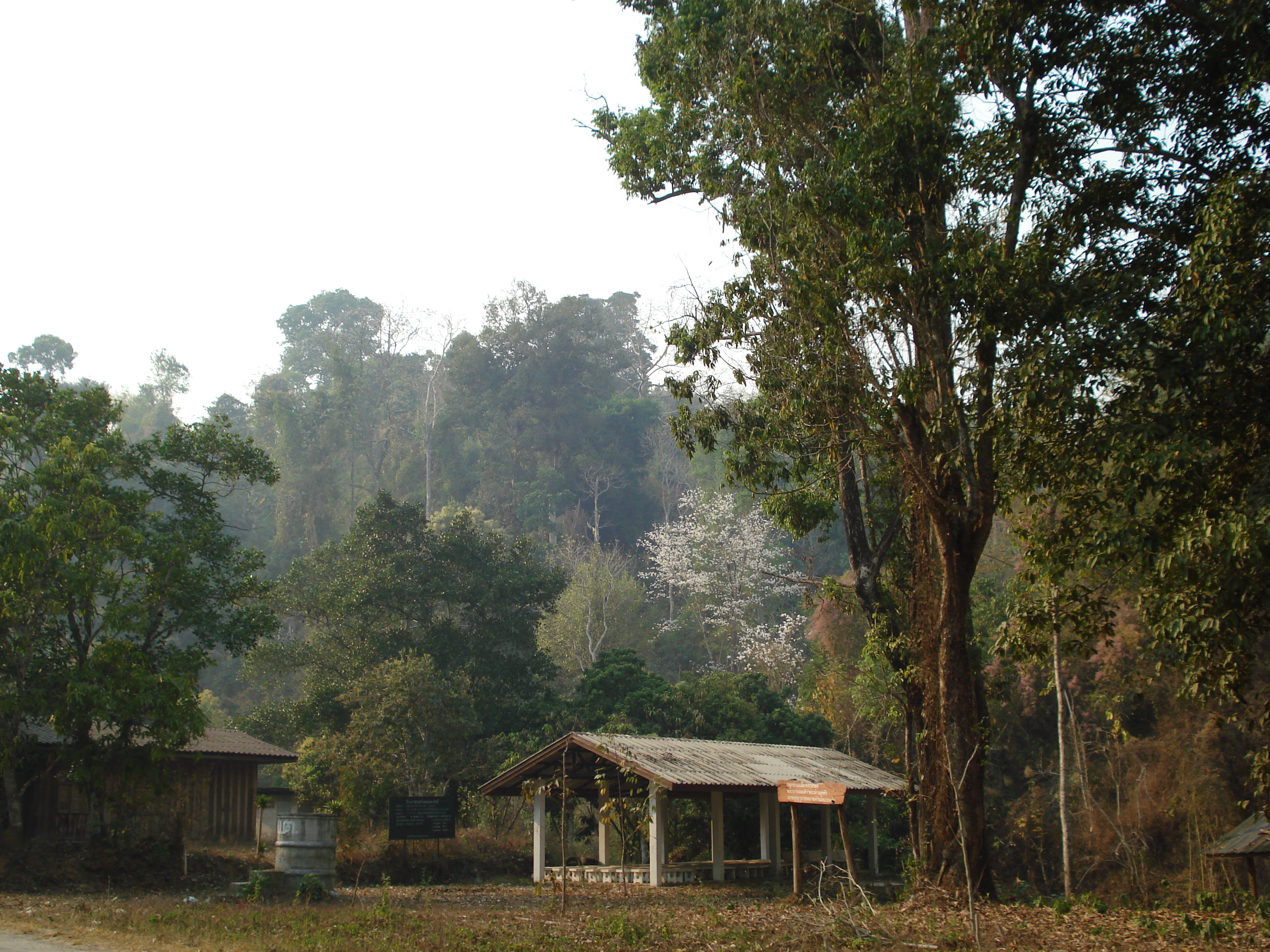 Photo Thaïlande Route de Chiang Mai à Pai 2007-02 10