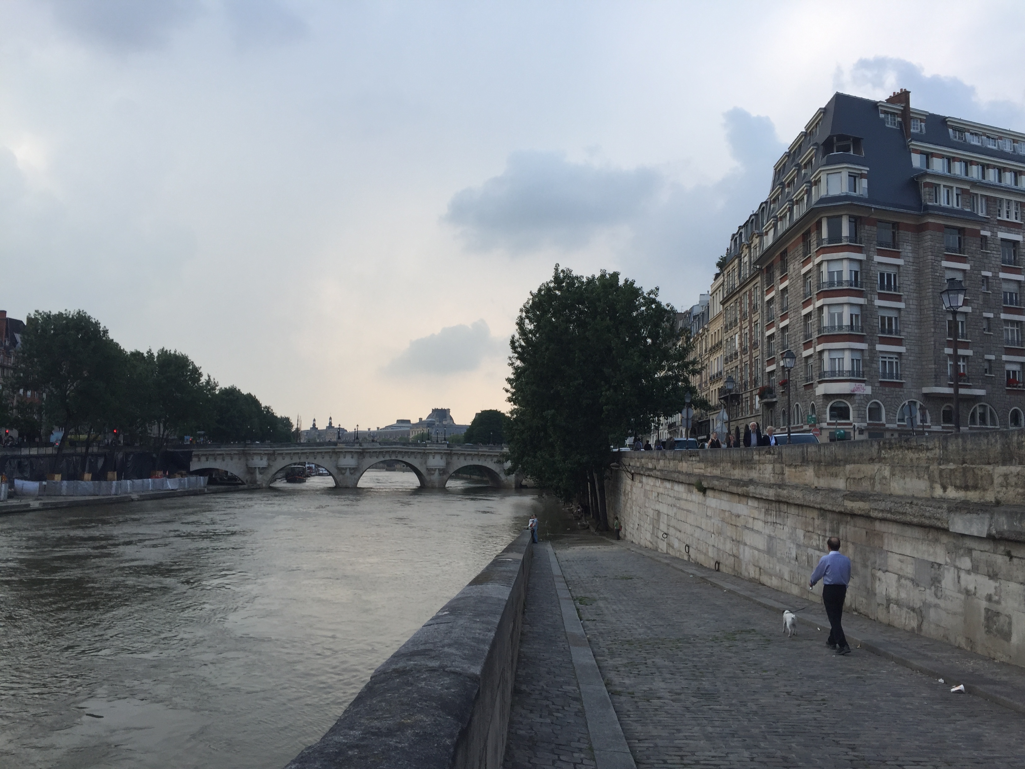 Photo France Paris La Seine 2016-06 20